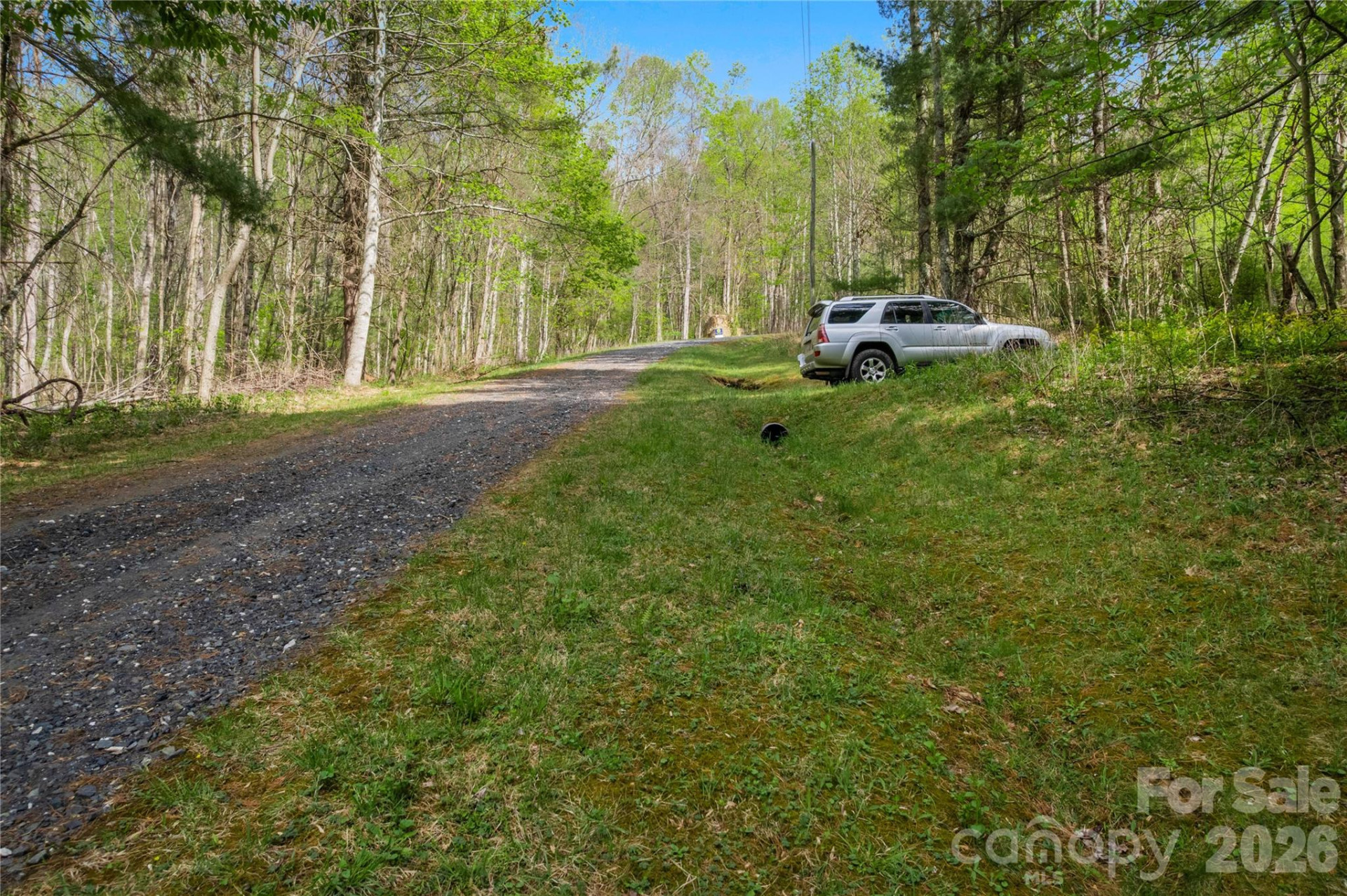 00000 Apple Farm Road - Photo 9