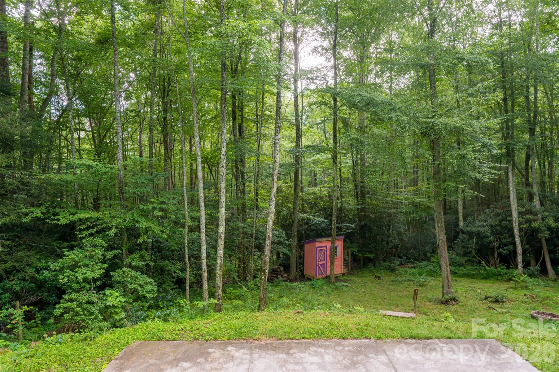 4035 Bald Creek Road - Photo 38