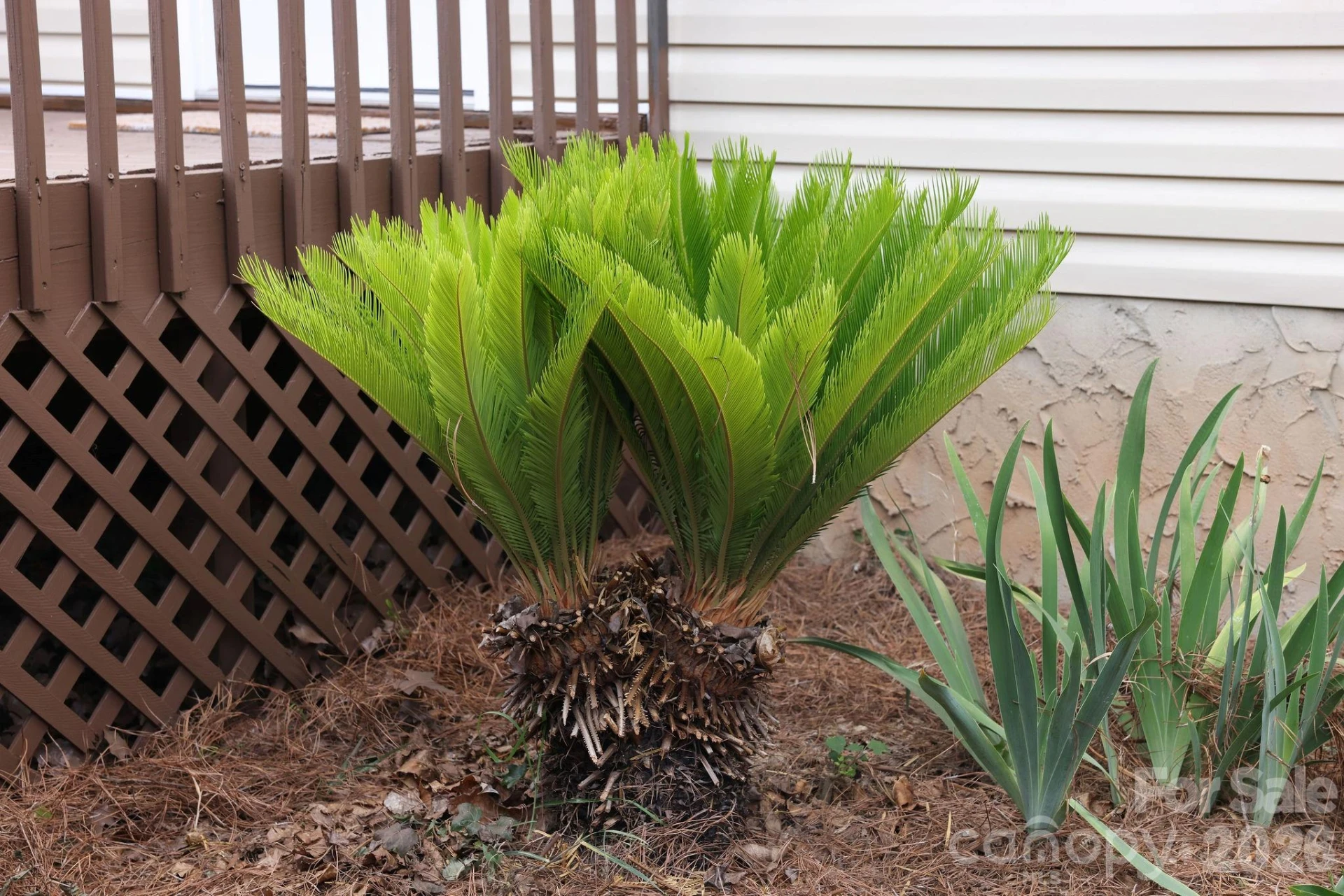 317 Devine Avenue - Photo 34
