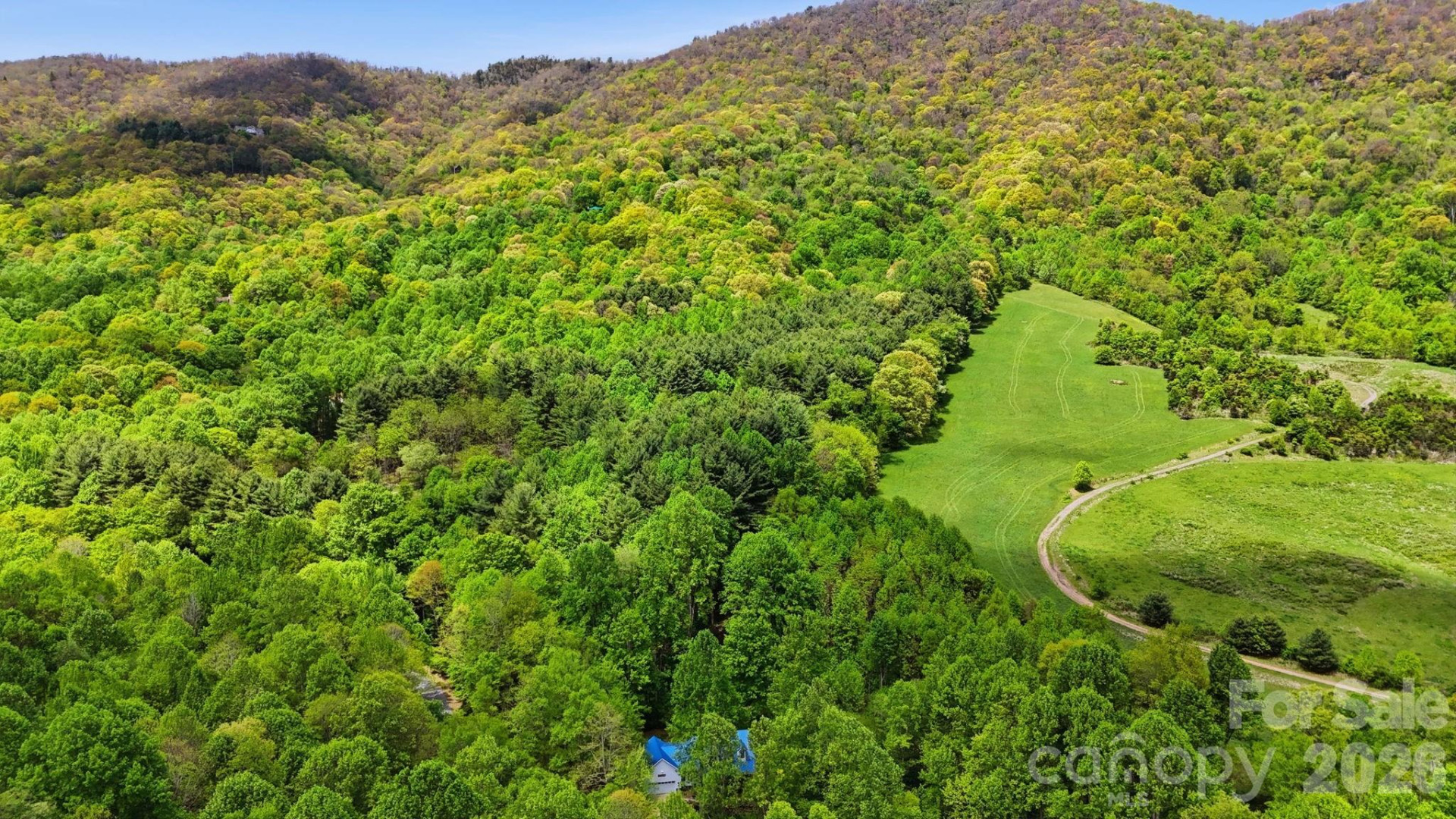 438 Serenity Mountain Road - Photo 40