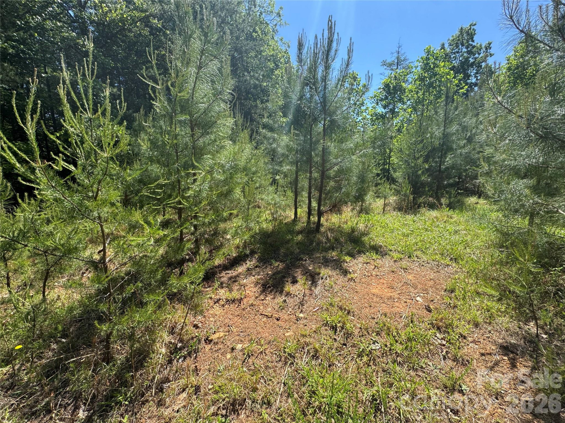 2 Lentz Landing Lane - Photo 8