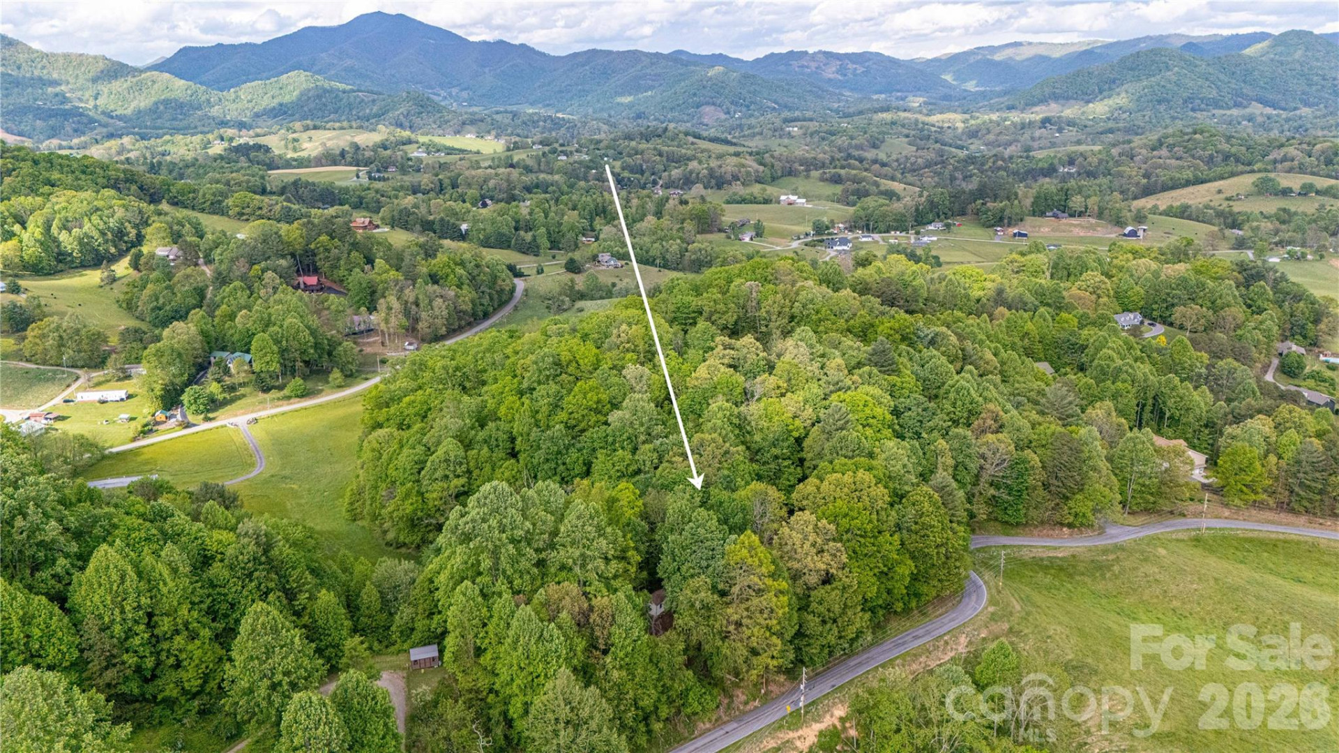 115 Knoll Ridge Lane - Photo 11