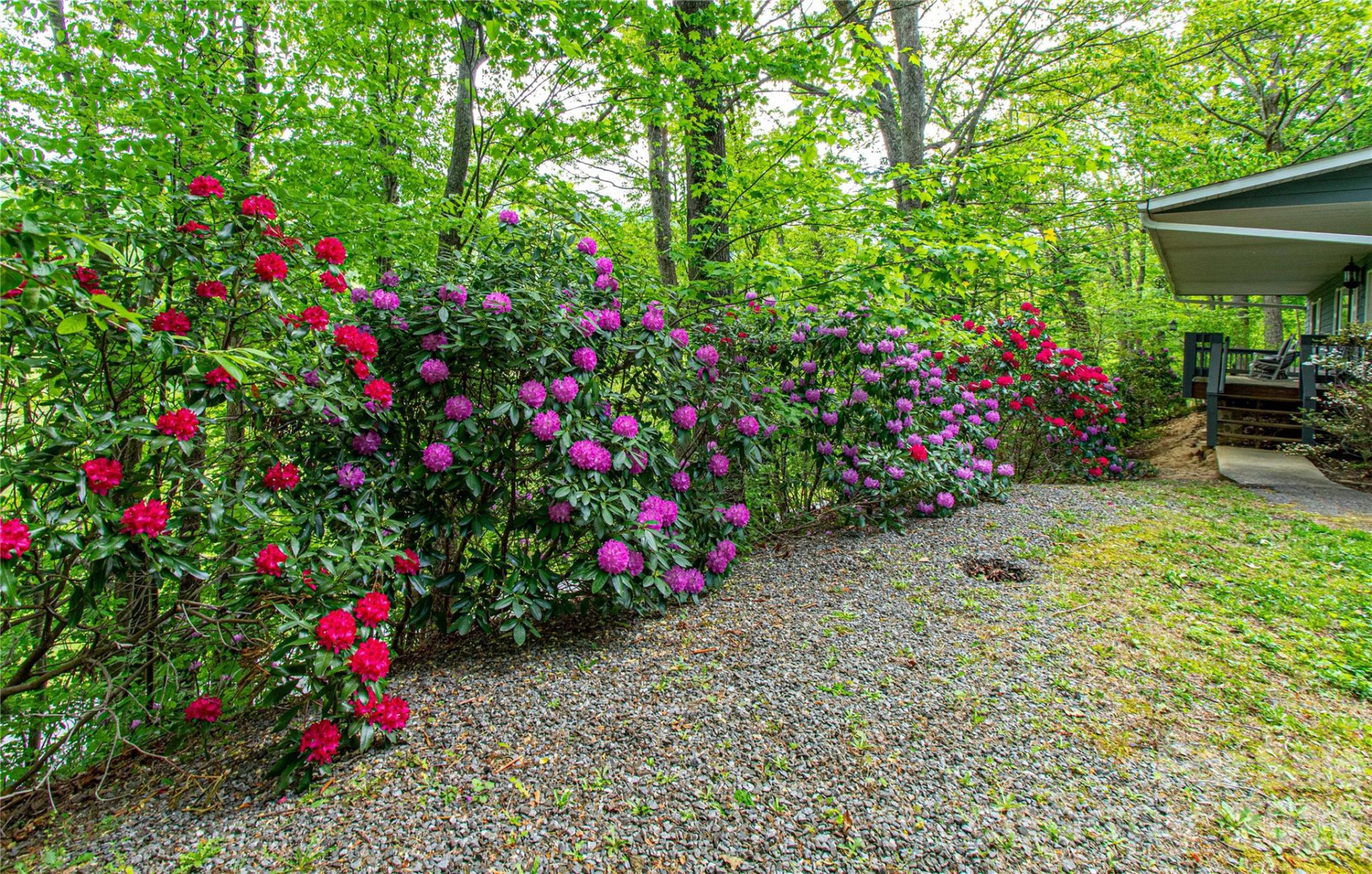 115 Knoll Ridge Lane - Photo 4