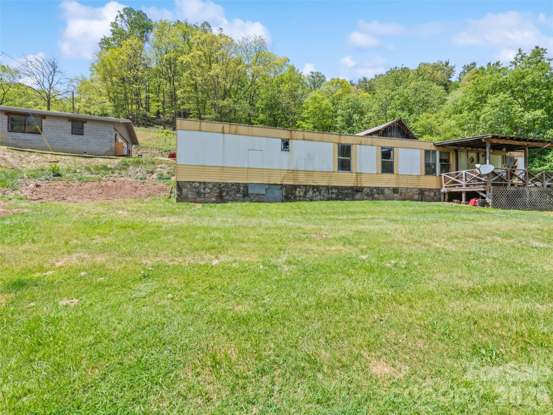 3607 Max Patch Road - Photo 2