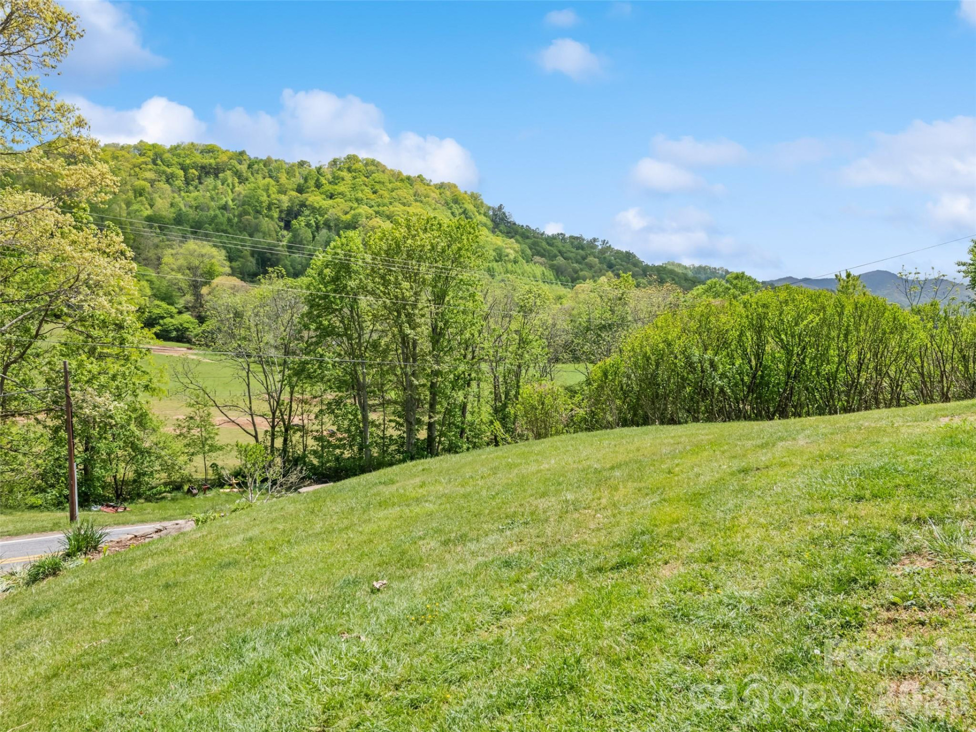 3607 Max Patch Road - Photo 11