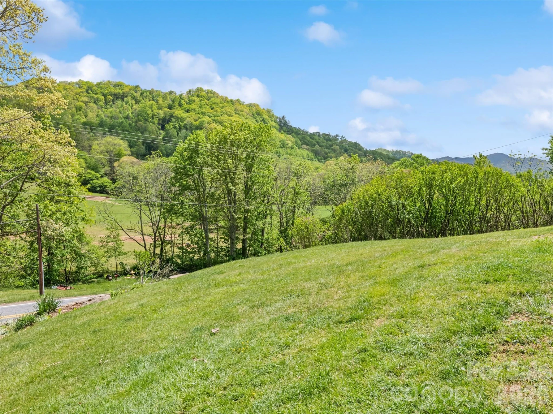 3607 Max Patch Road - Photo 11