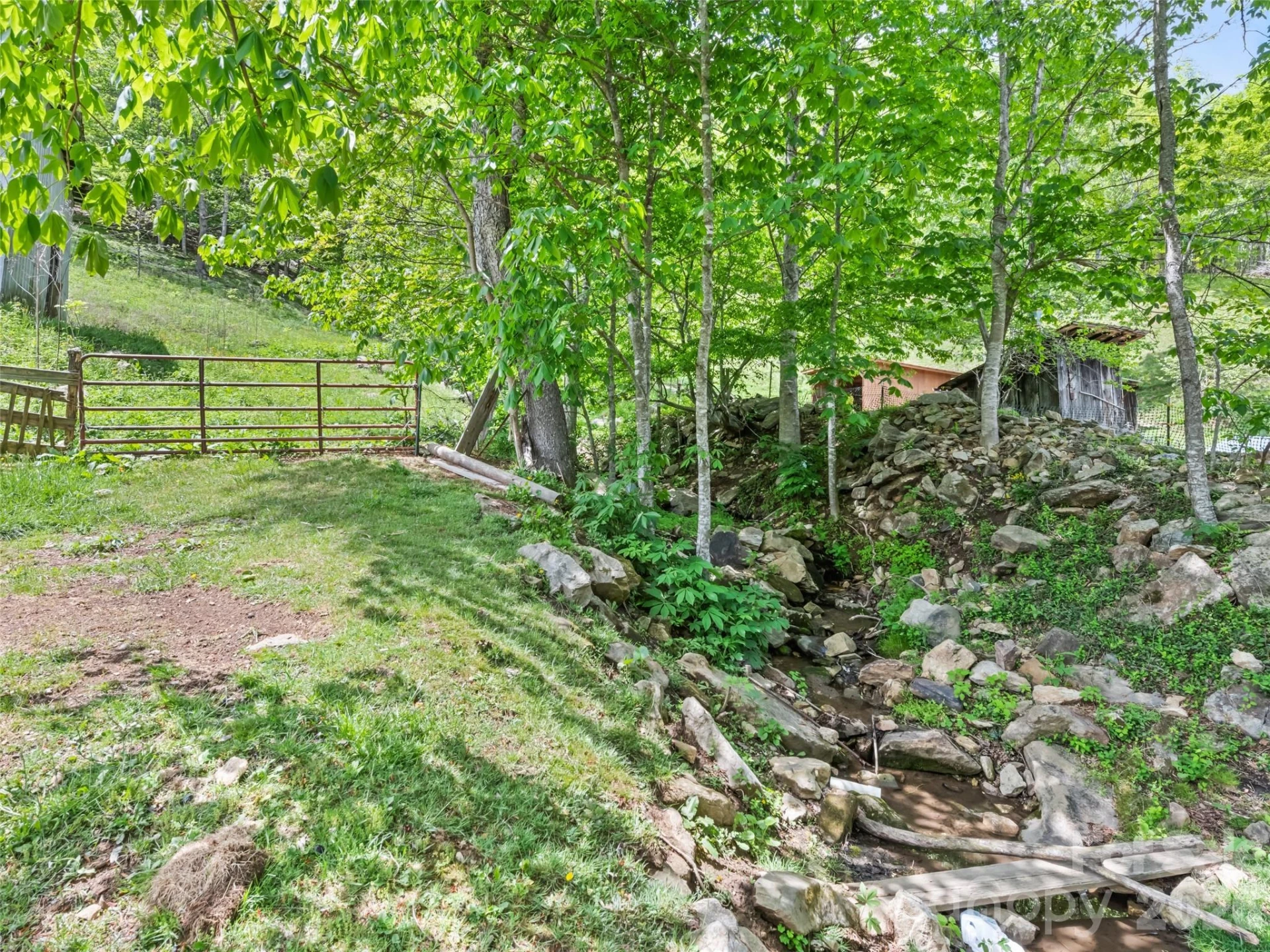 3607 Max Patch Road - Photo 12