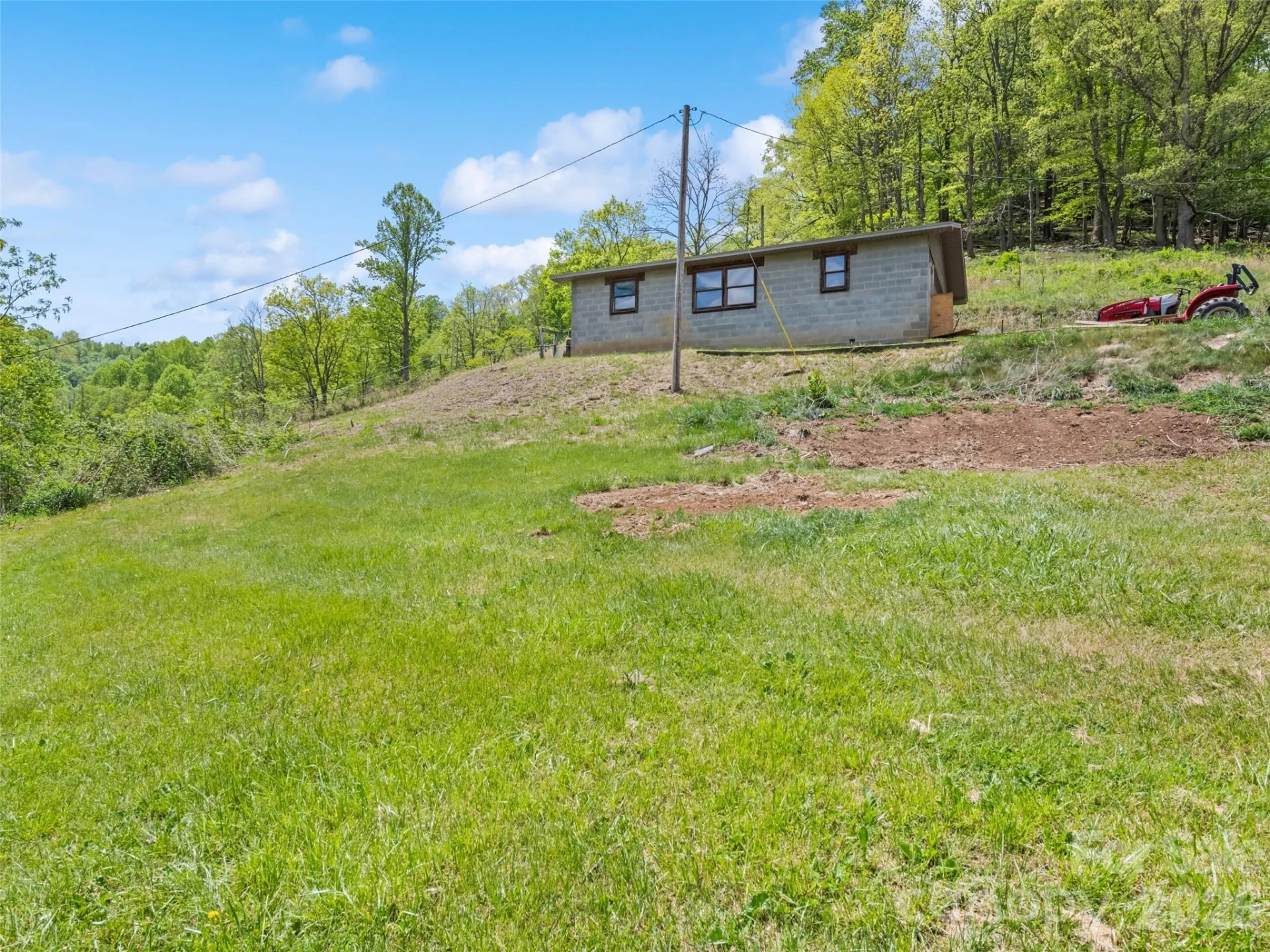 3607 Max Patch Road - Photo 3