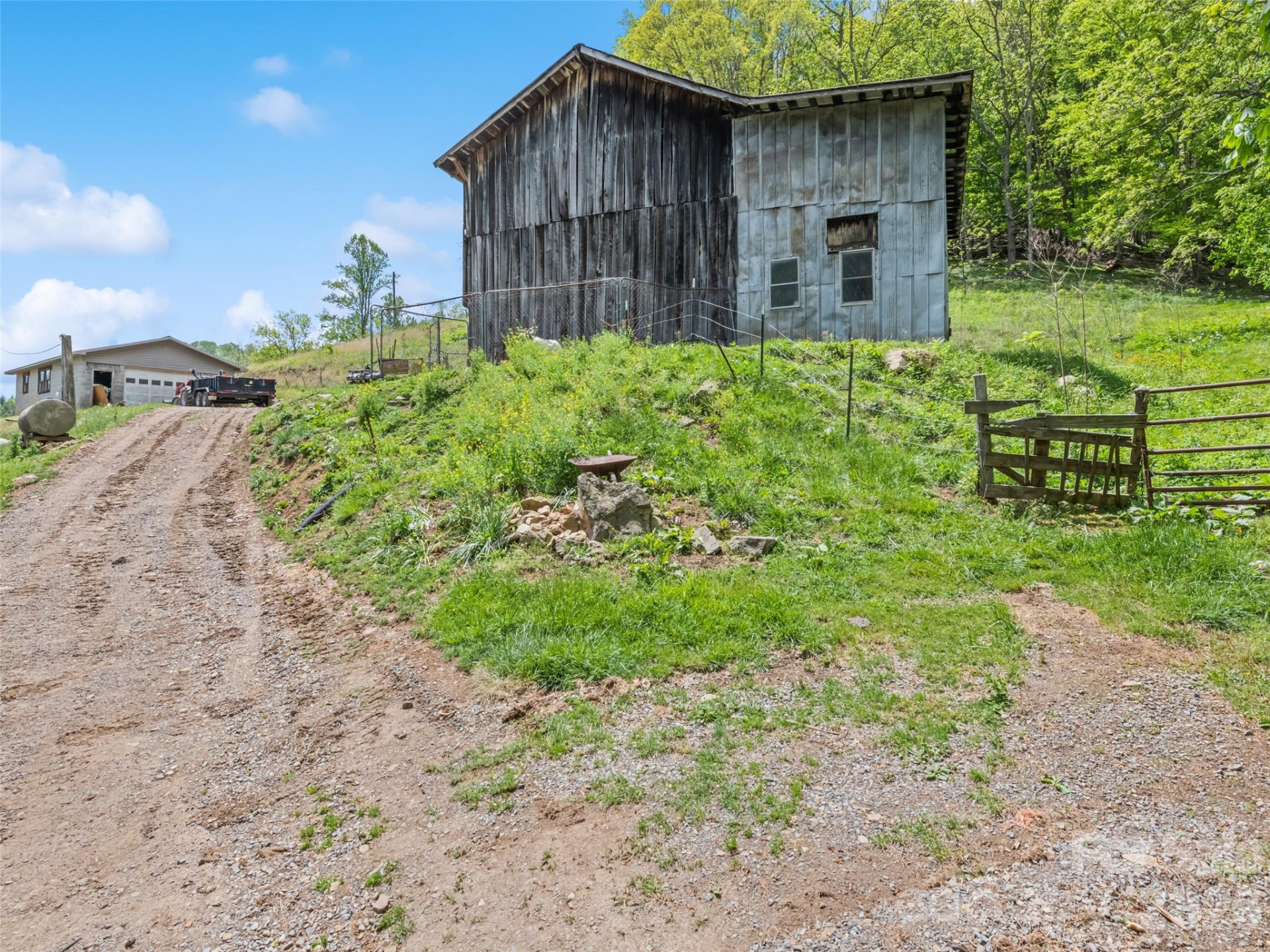 3607 Max Patch Road - Photo 4