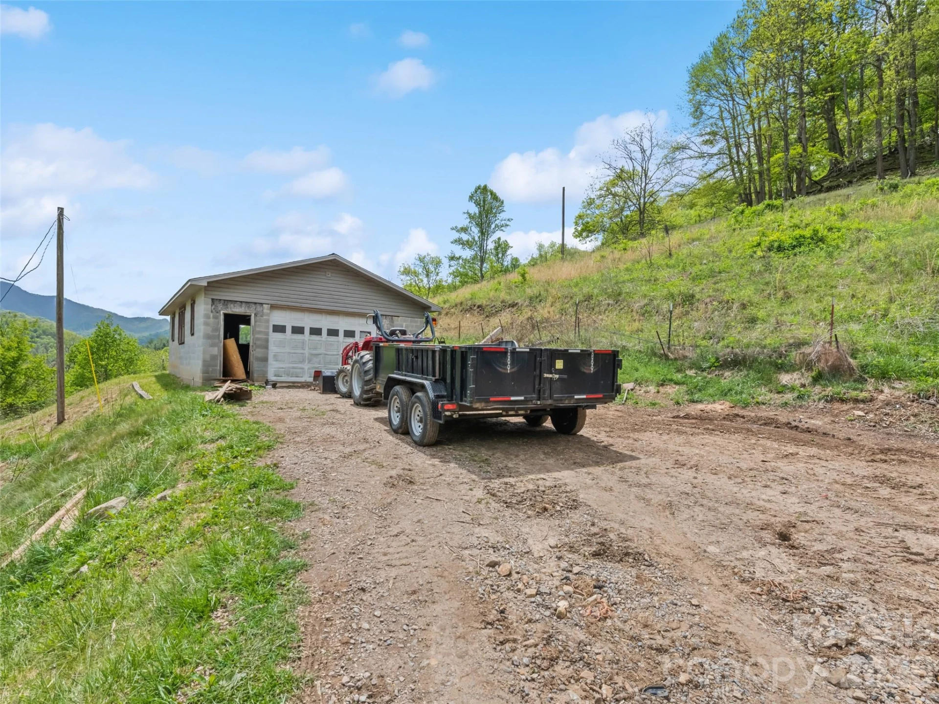 3607 Max Patch Road - Photo 5
