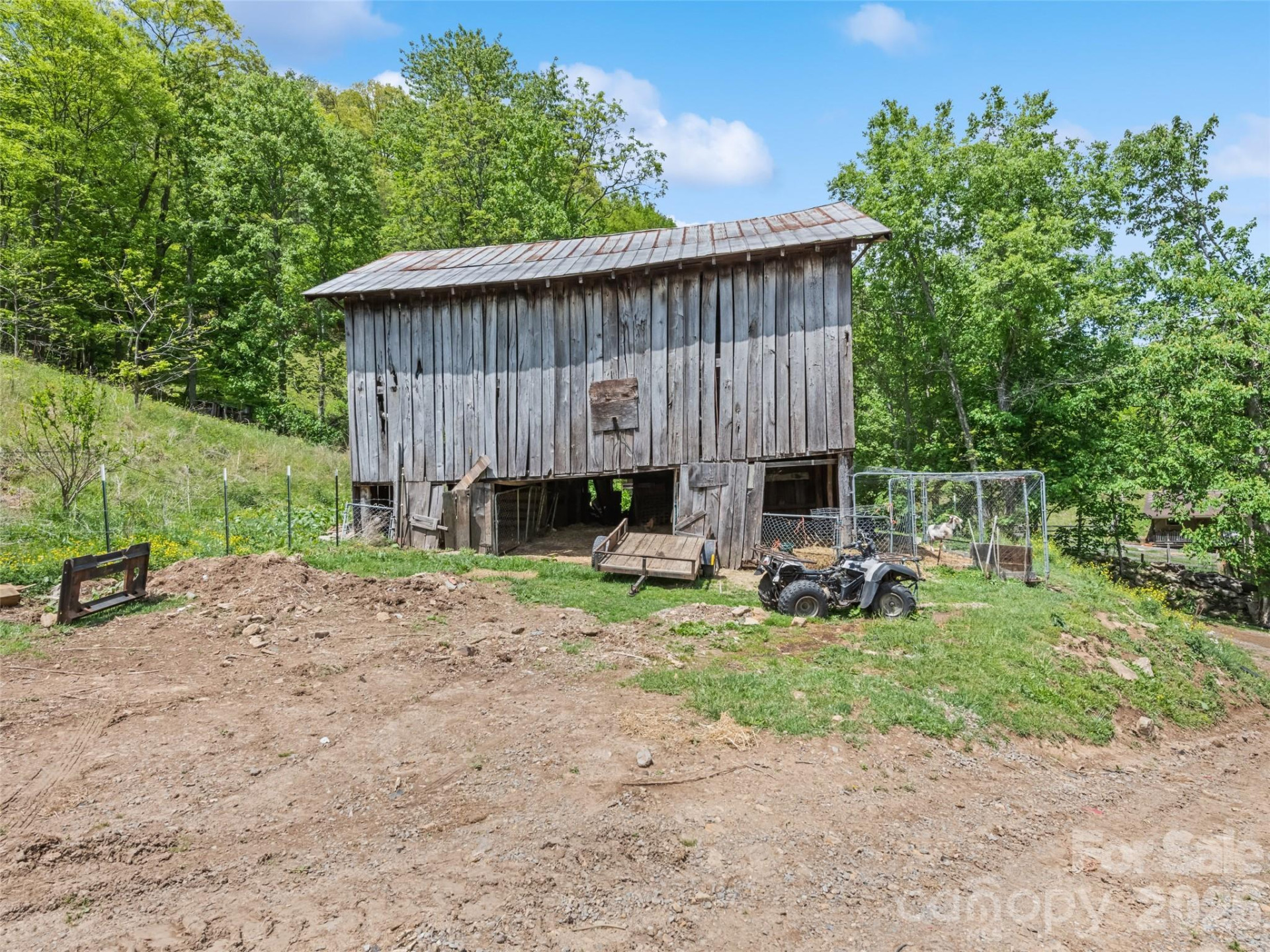 3607 Max Patch Road - Photo 6