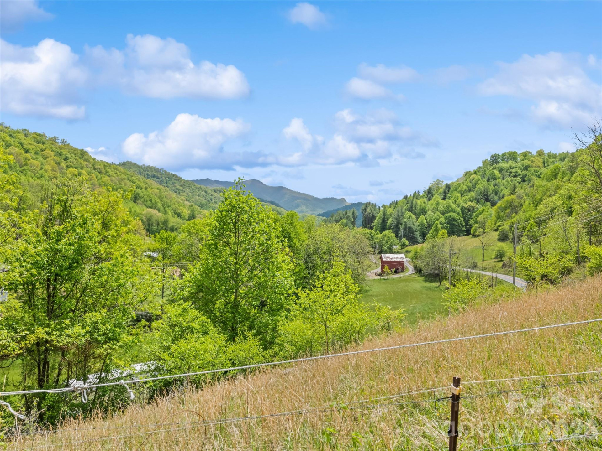 3607 Max Patch Road - Photo 7