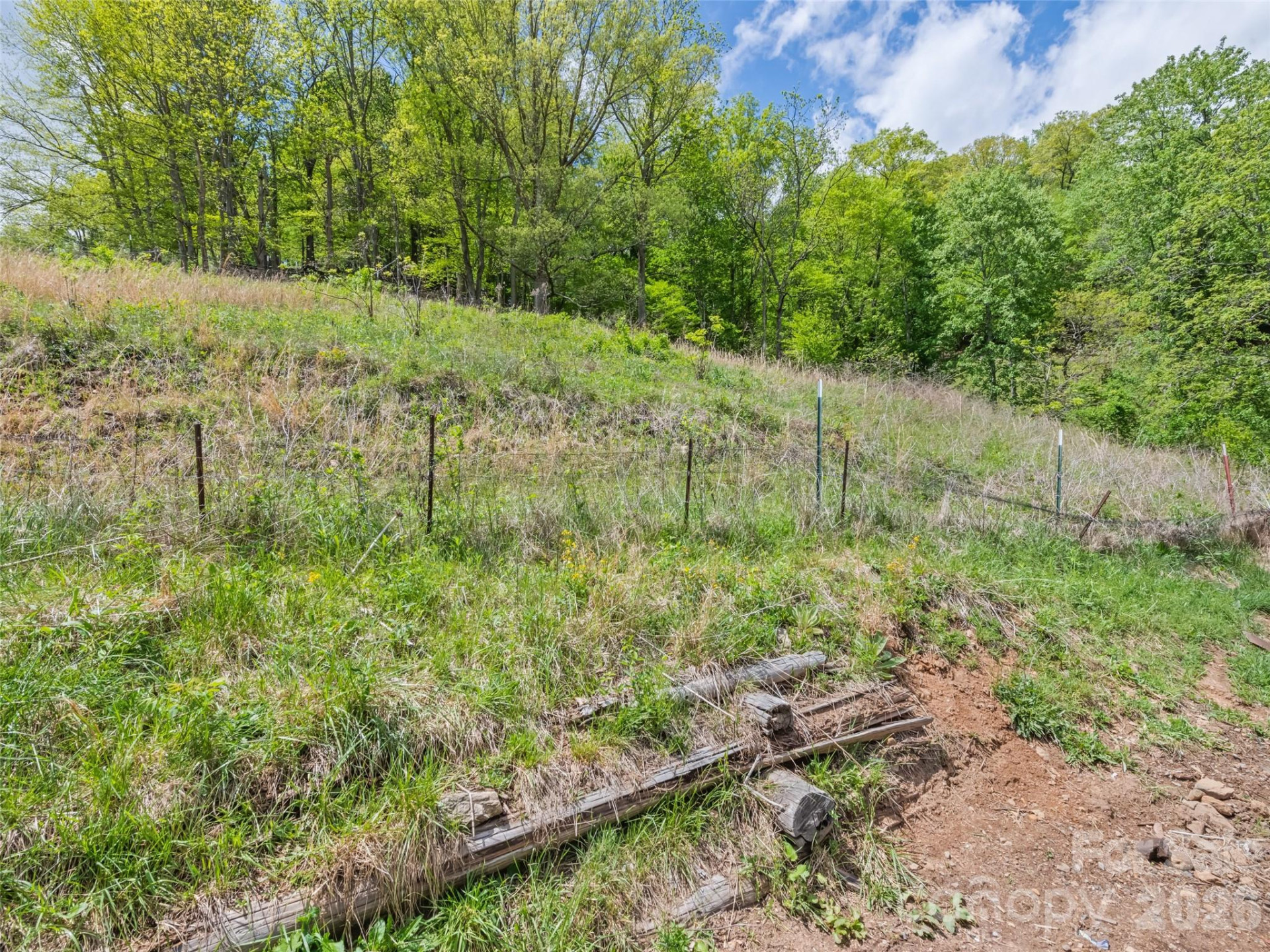 3607 Max Patch Road - Photo 8