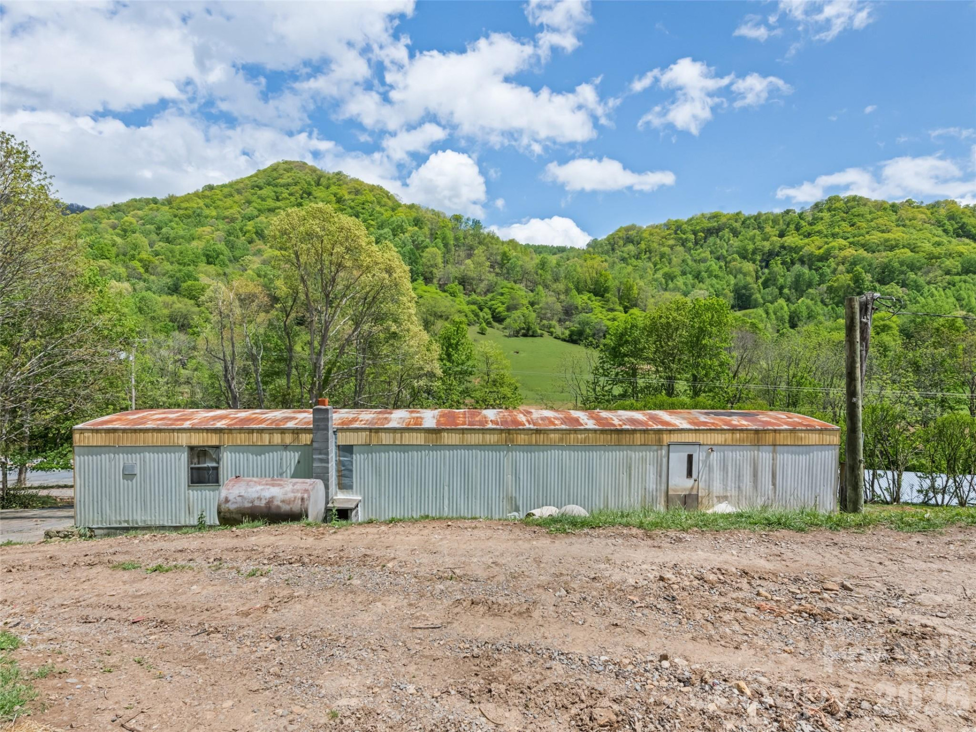 3607 Max Patch Road - Photo 9
