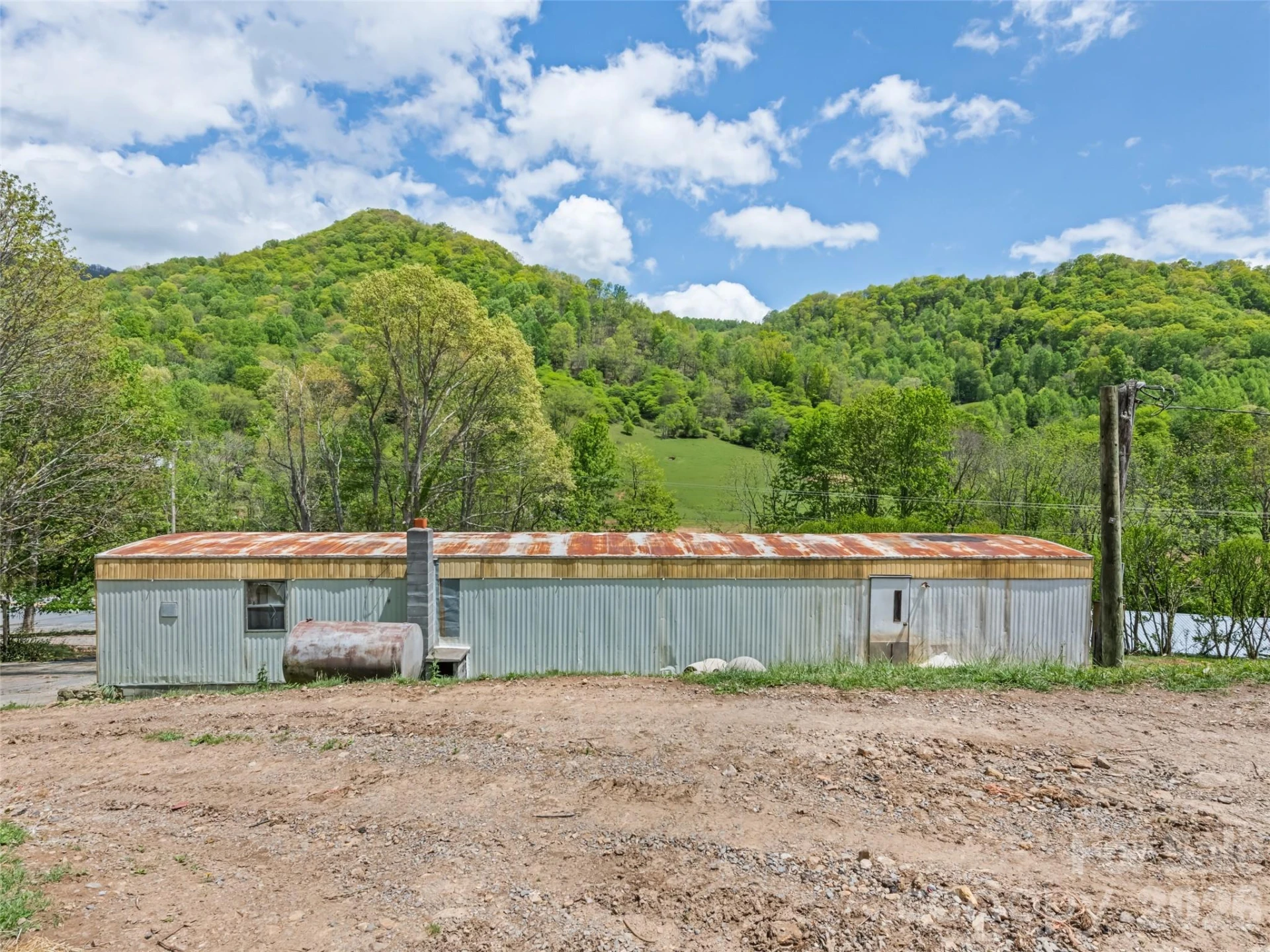 3607 Max Patch Road - Photo 9