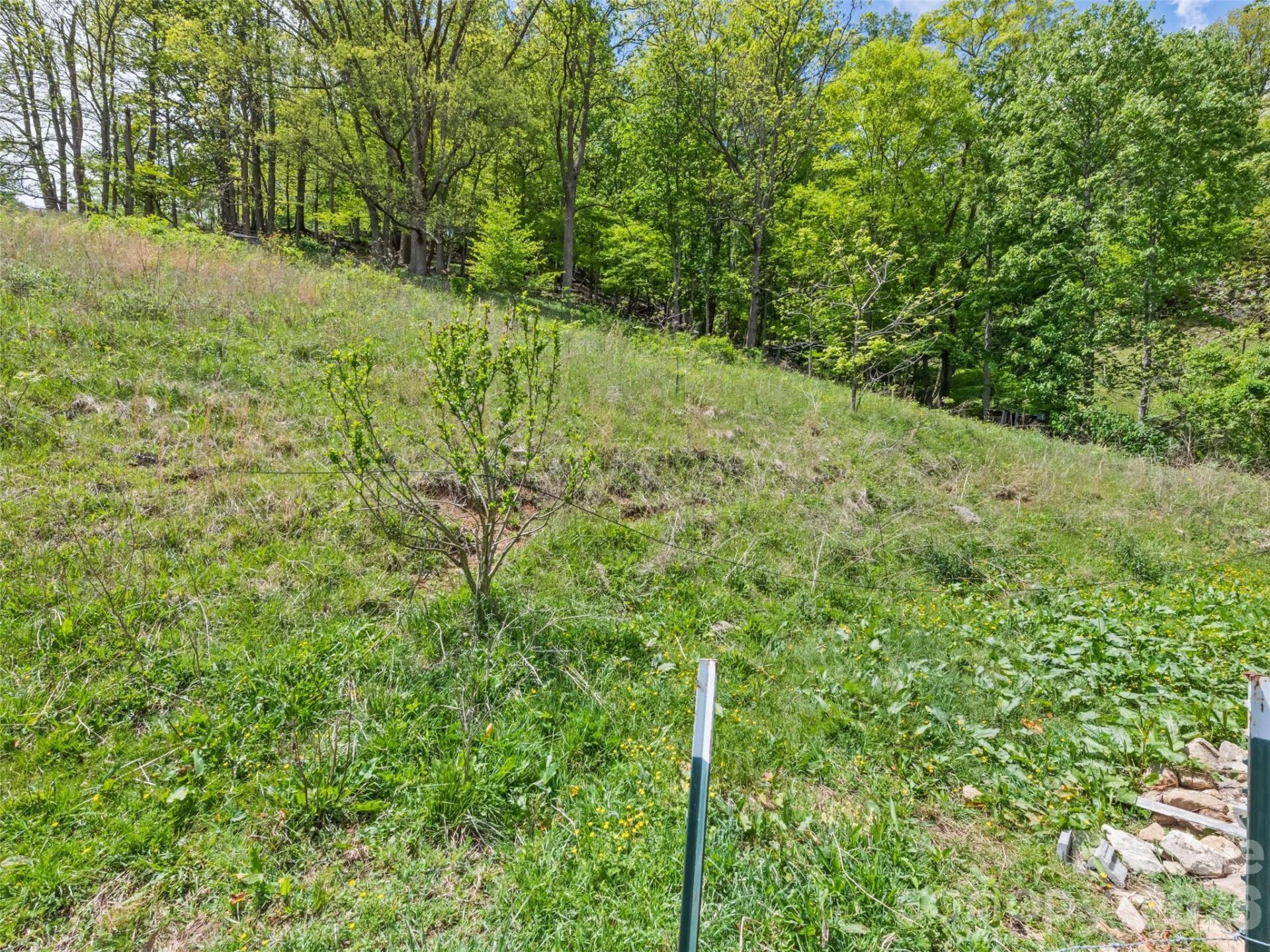 3607 Max Patch Road - Photo 10