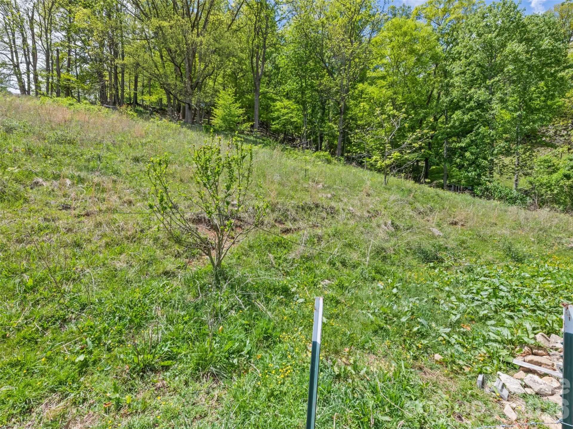 3607 Max Patch Road - Photo 10