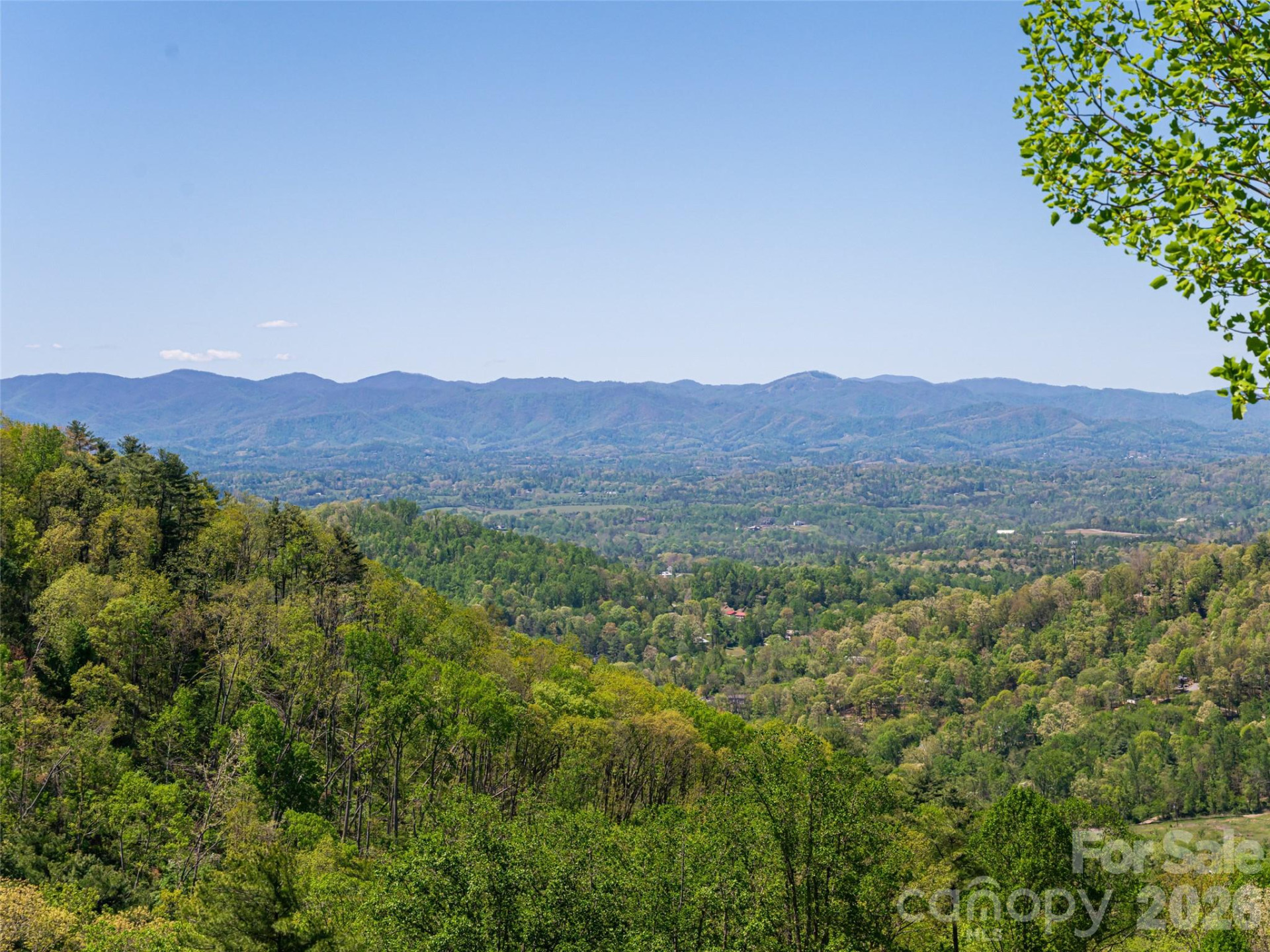 32 Timber Wolf Court - Photo 3
