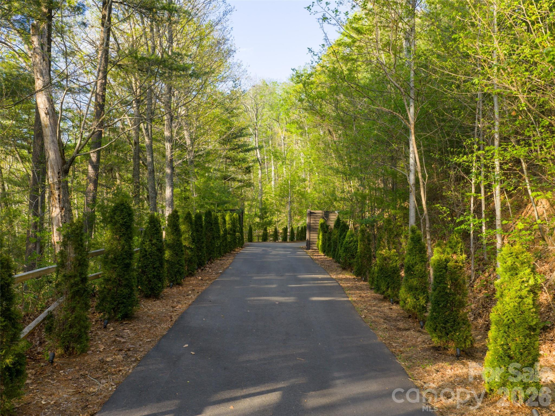 32 Timber Wolf Court - Photo 38