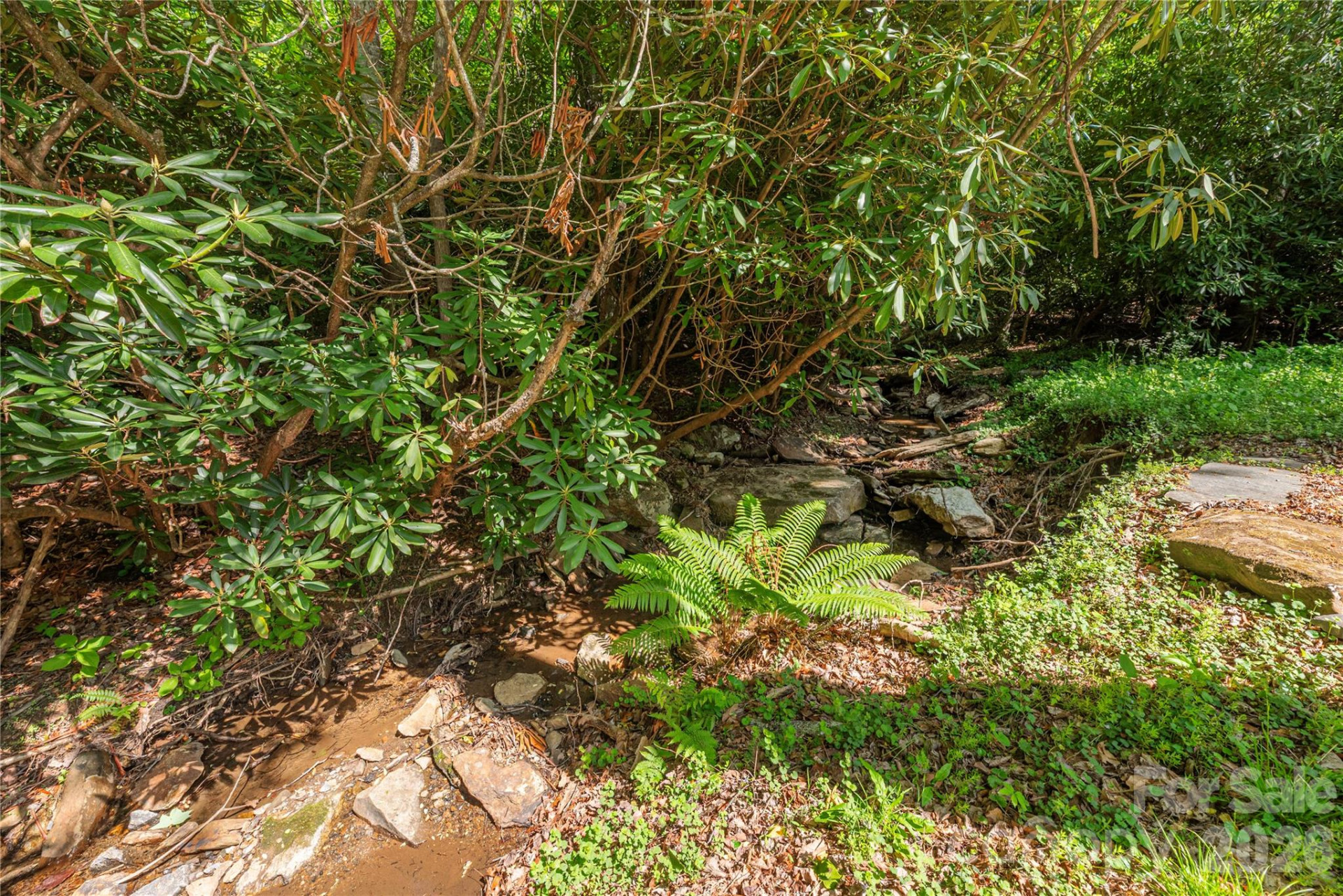 5 Crooked Tree Lane - Photo 30