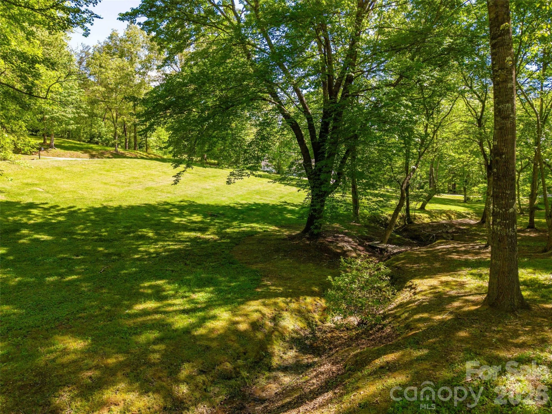 Lot 17 Swallowtail Lane - Photo 12