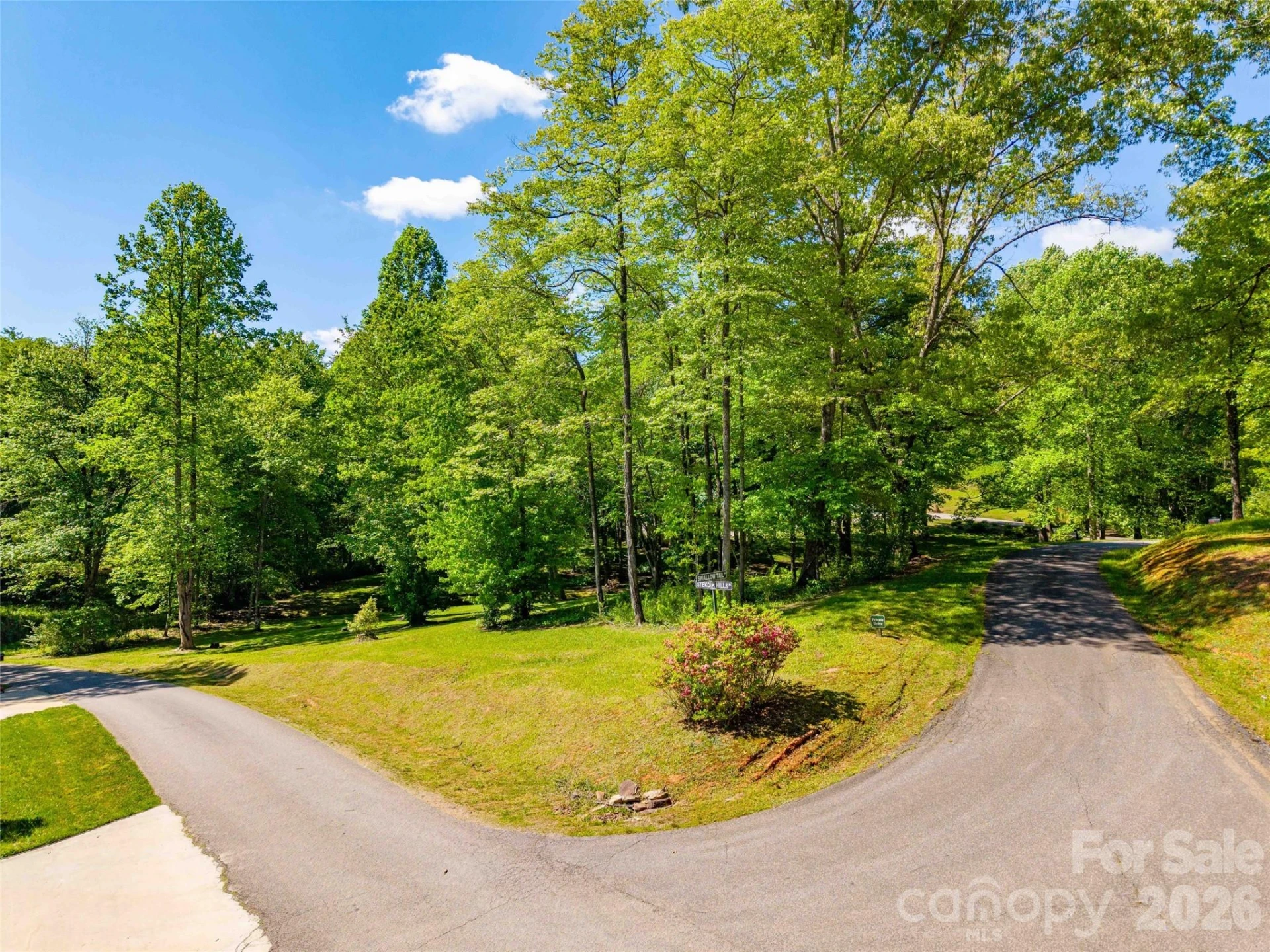 Lot 17 Swallowtail Lane - Photo 13