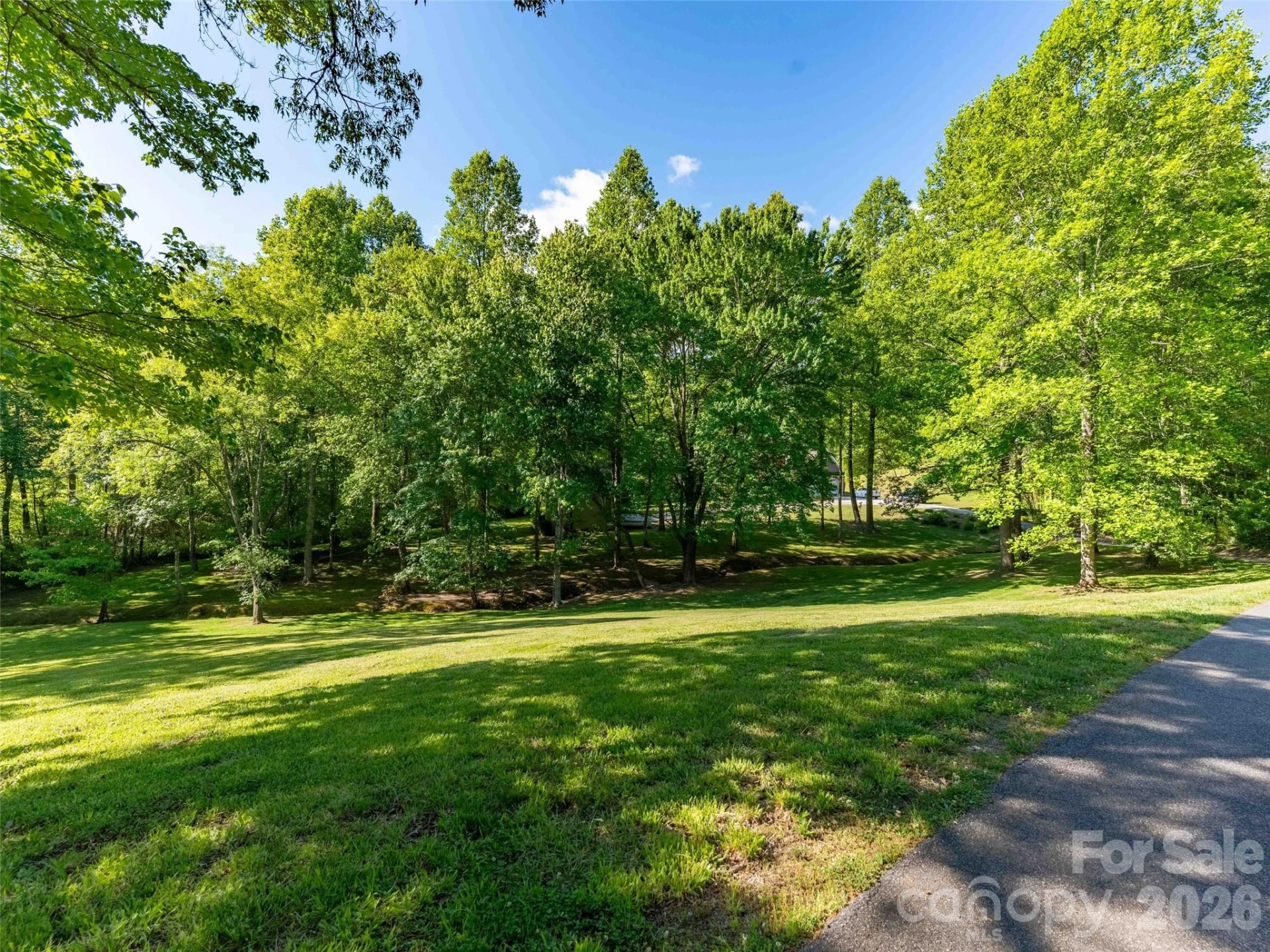 Lot 17 Swallowtail Lane - Photo 3