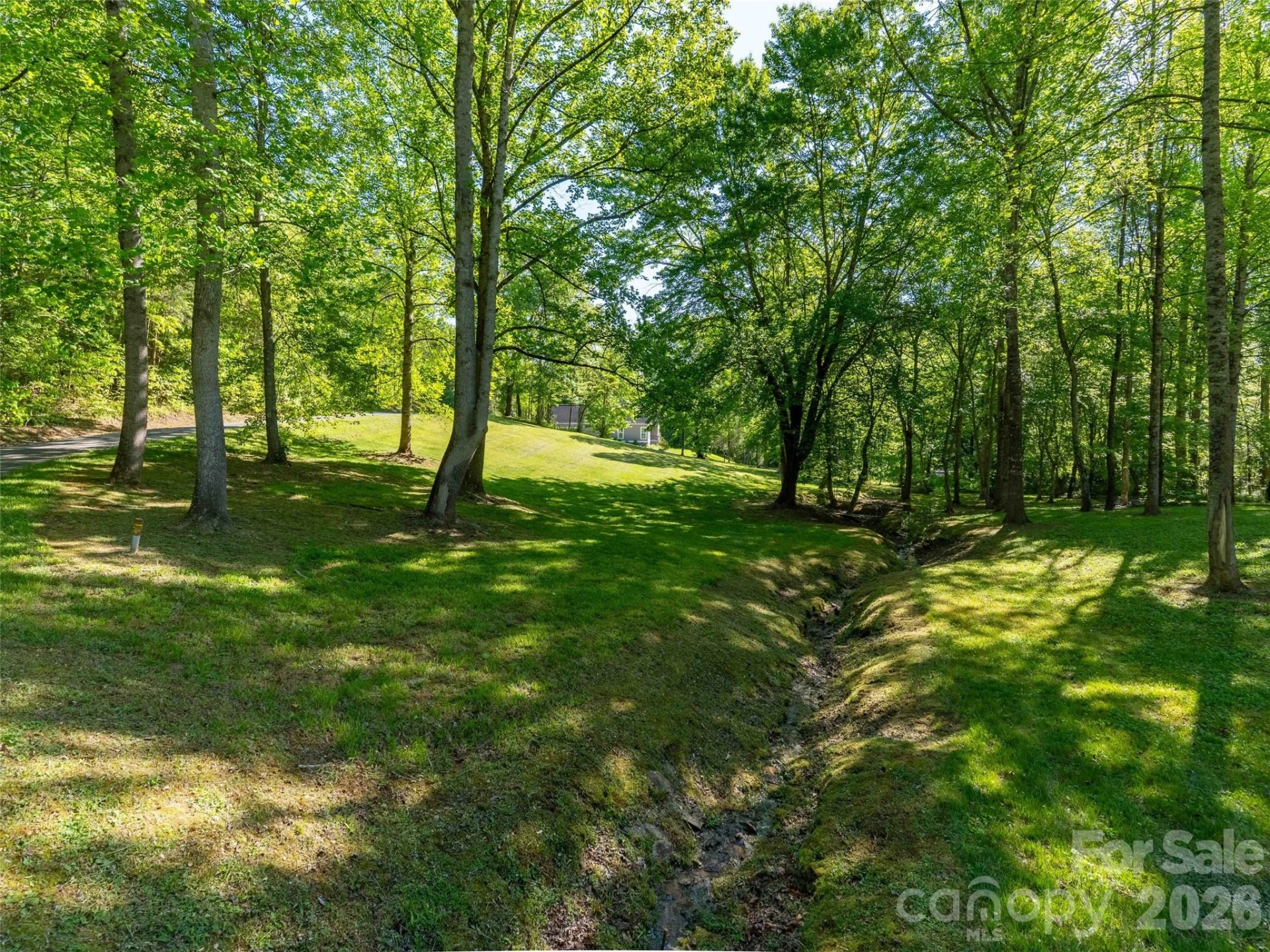 Lot 17 Swallowtail Lane - Photo 4