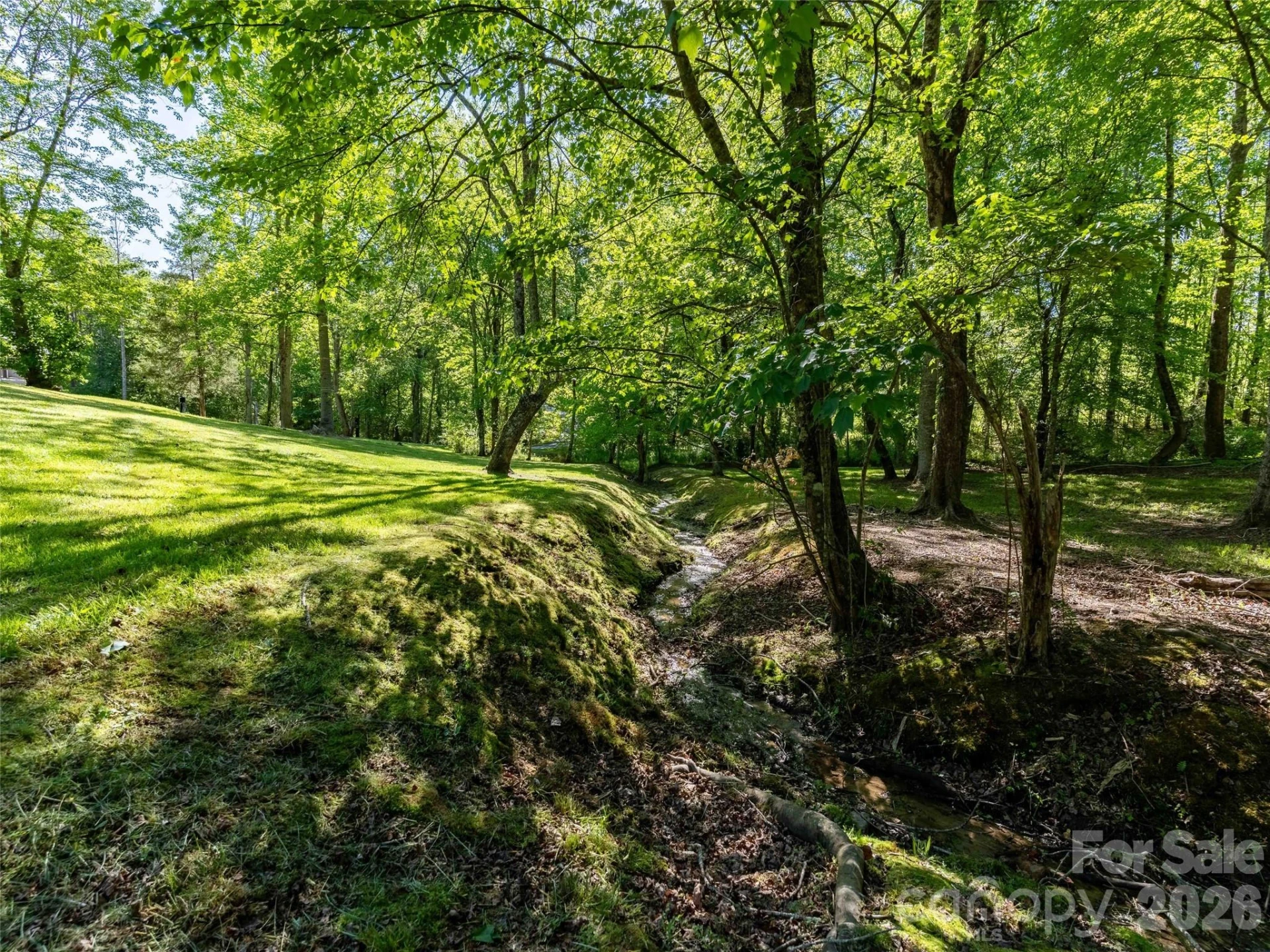 Lot 17 Swallowtail Lane - Photo 5