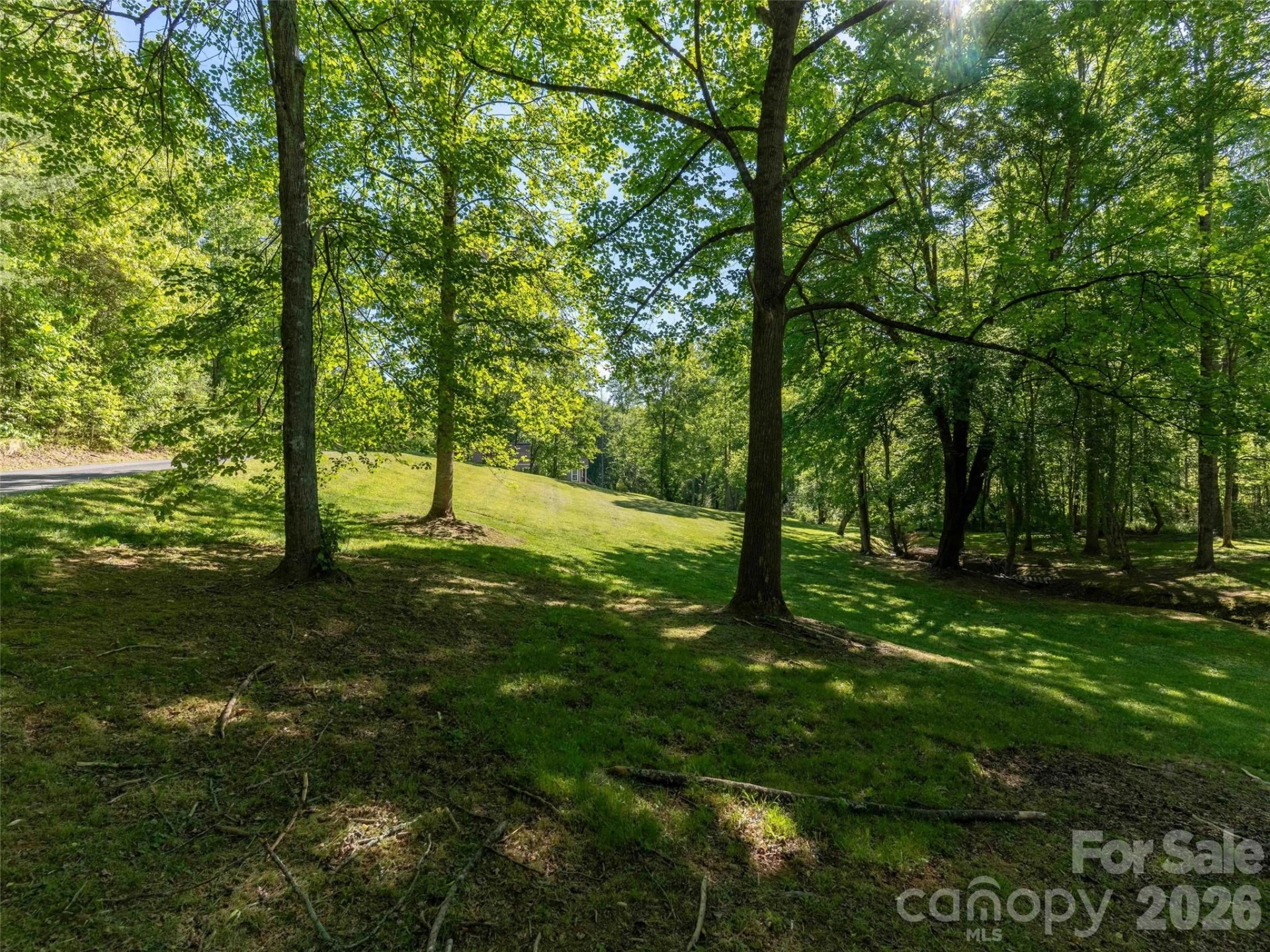 Lot 17 Swallowtail Lane - Photo 6