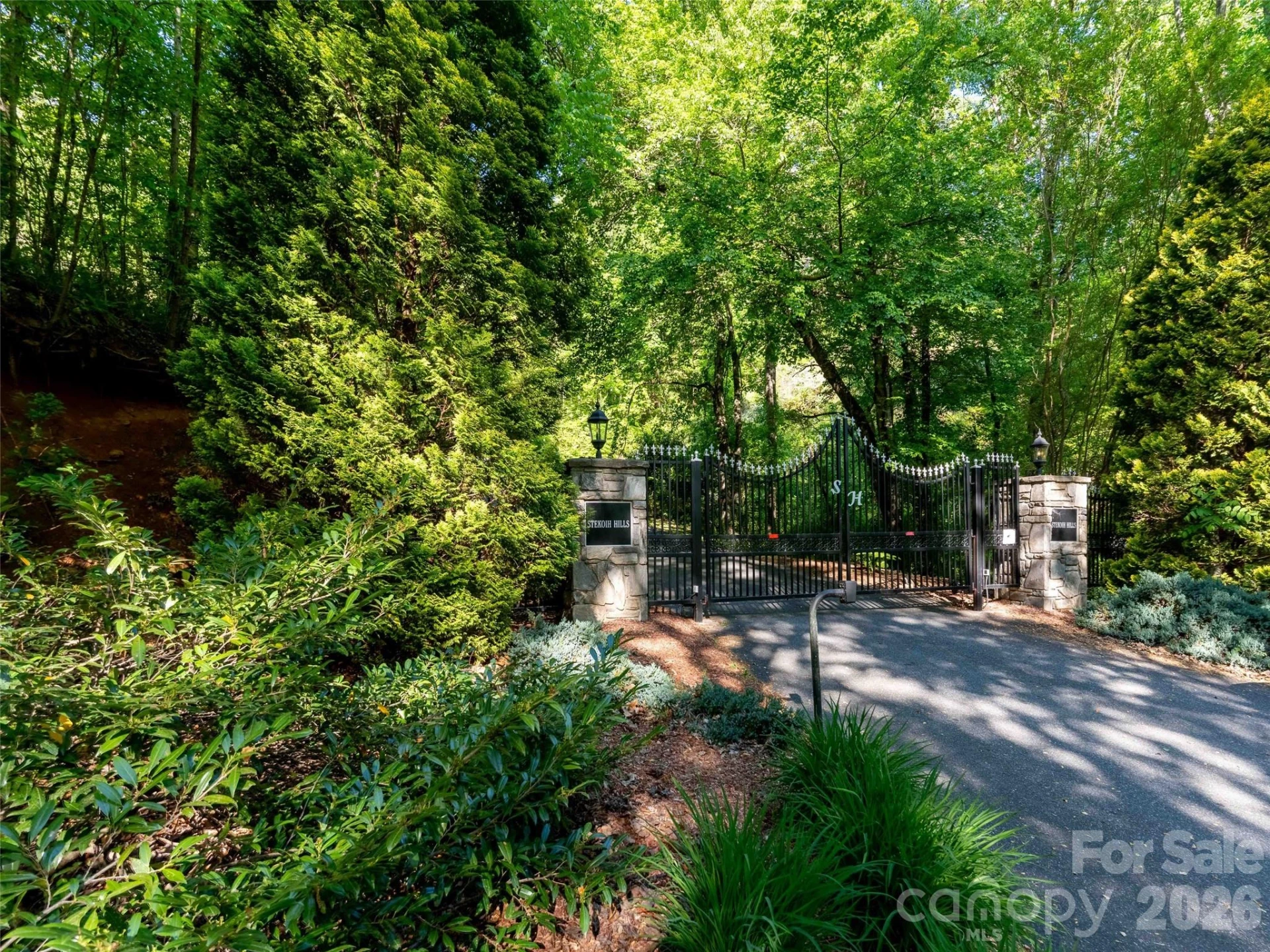 Lot 17 Swallowtail Lane - Photo 7