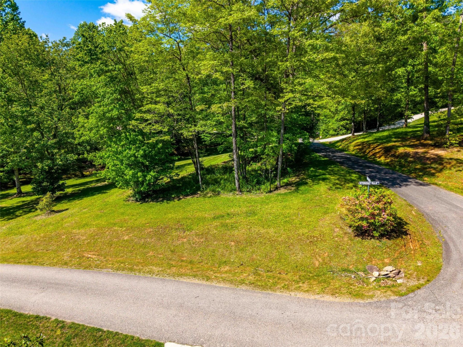 Lot 17 Swallowtail Lane - Photo 8