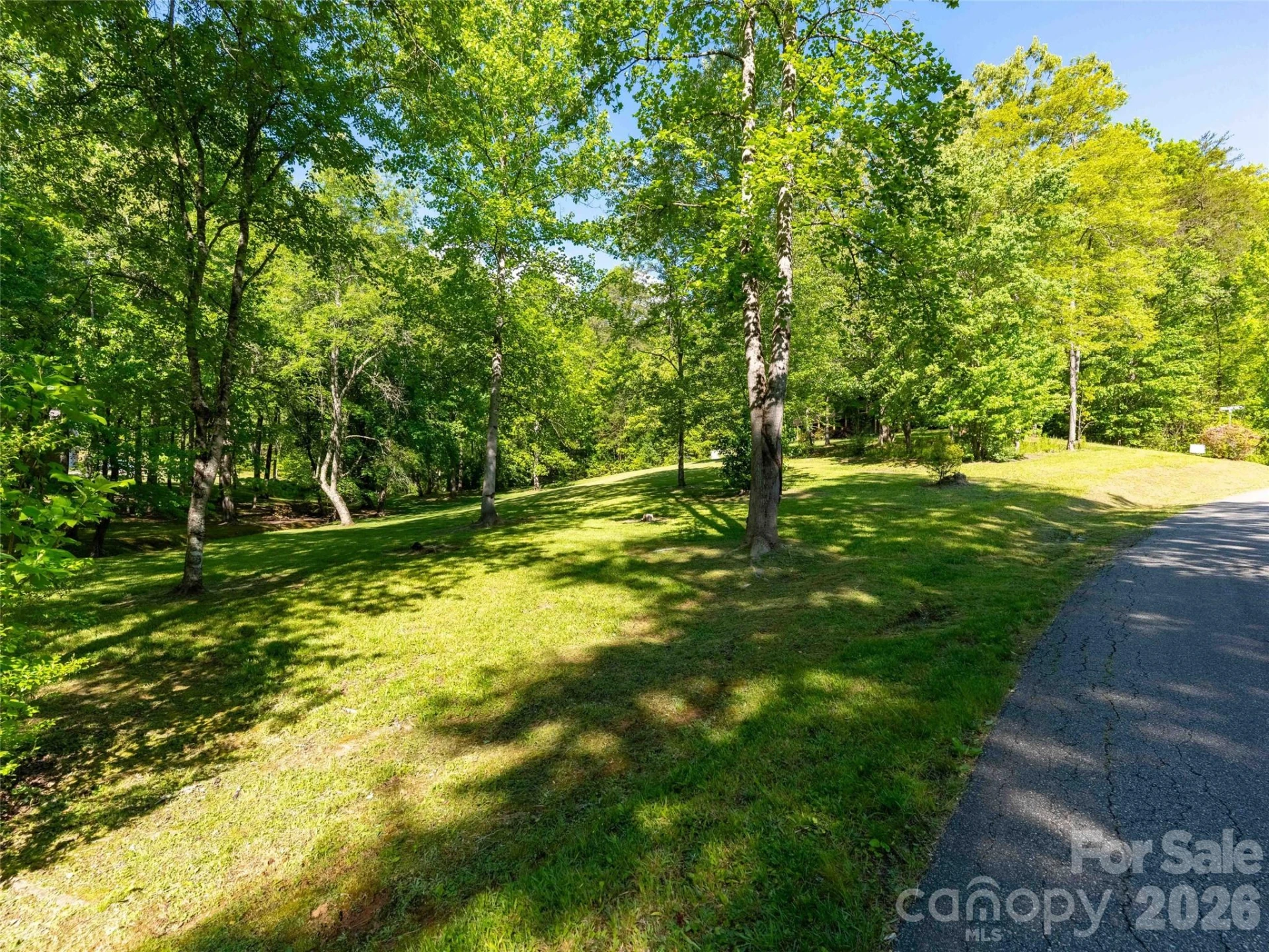 Lot 17 Swallowtail Lane - Photo 10