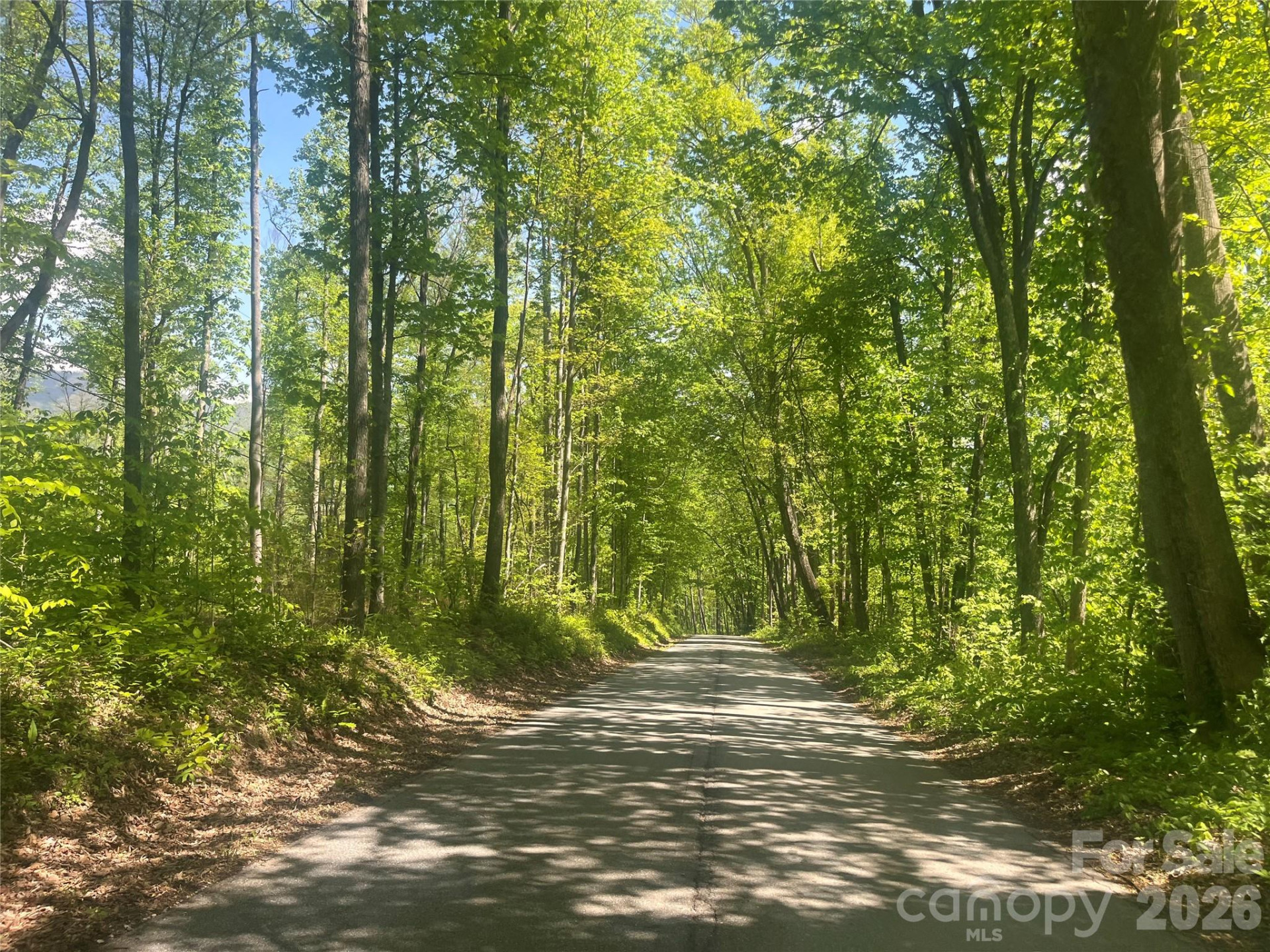 1205 Saunook Road - Photo 7