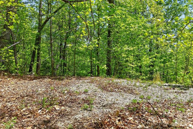 0 Bobcat Drive, Old Fort, NC, 28762