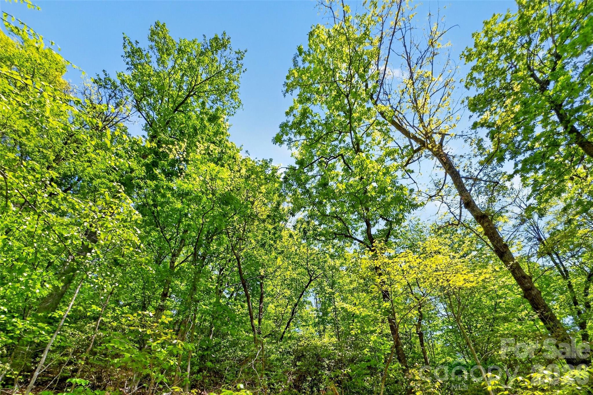 0 Bobcat Drive #741 - Photo 24