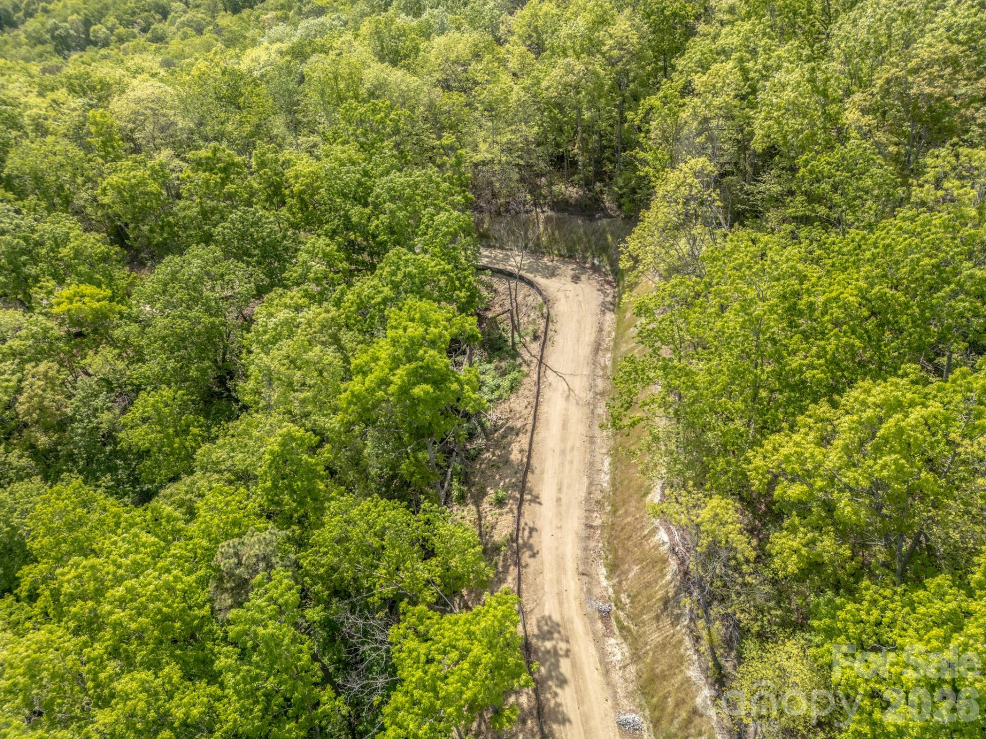 10.1 Acres on Old Fort Road - Photo 2