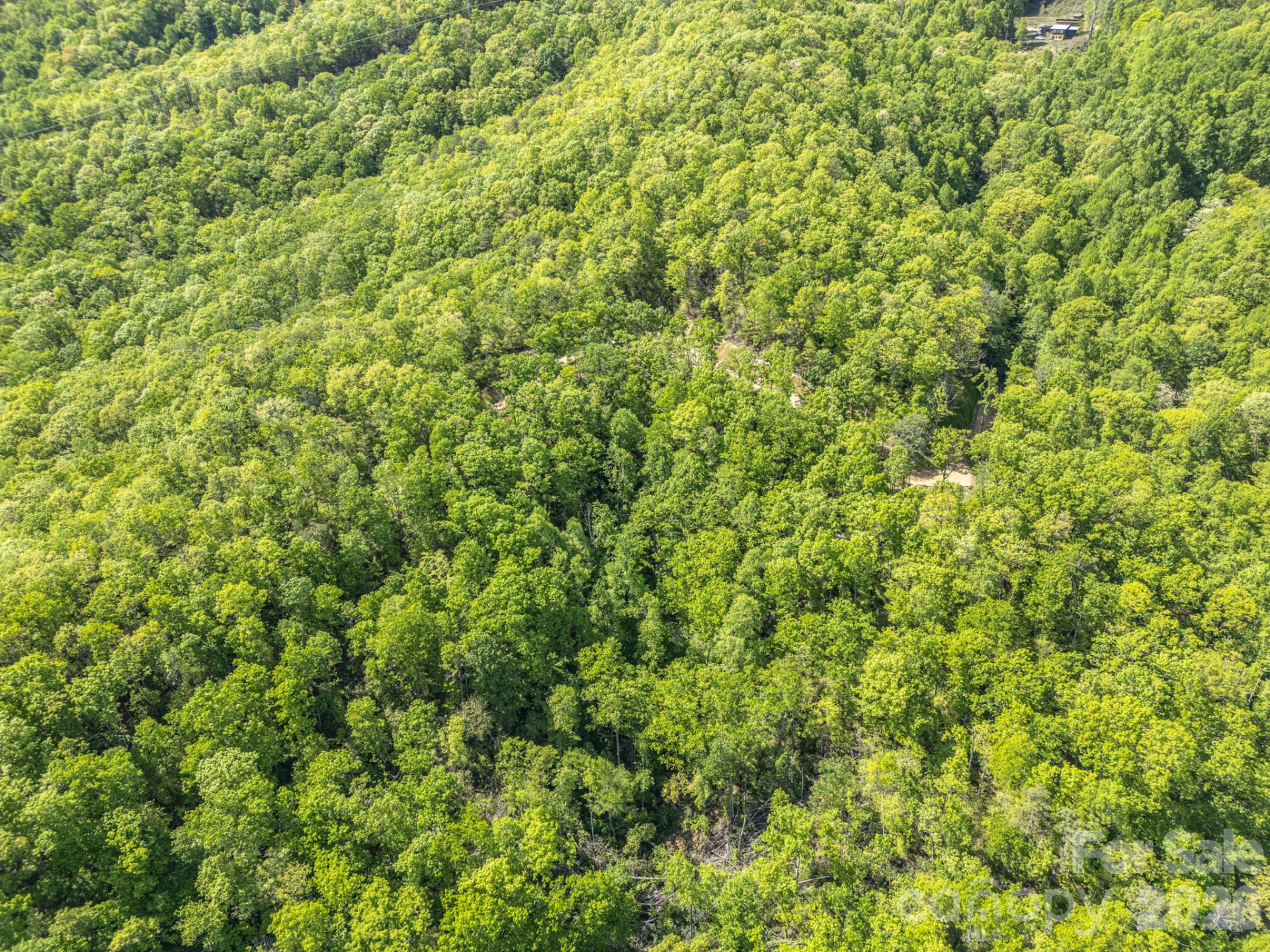 10.1 Acres on Old Fort Road - Photo 20