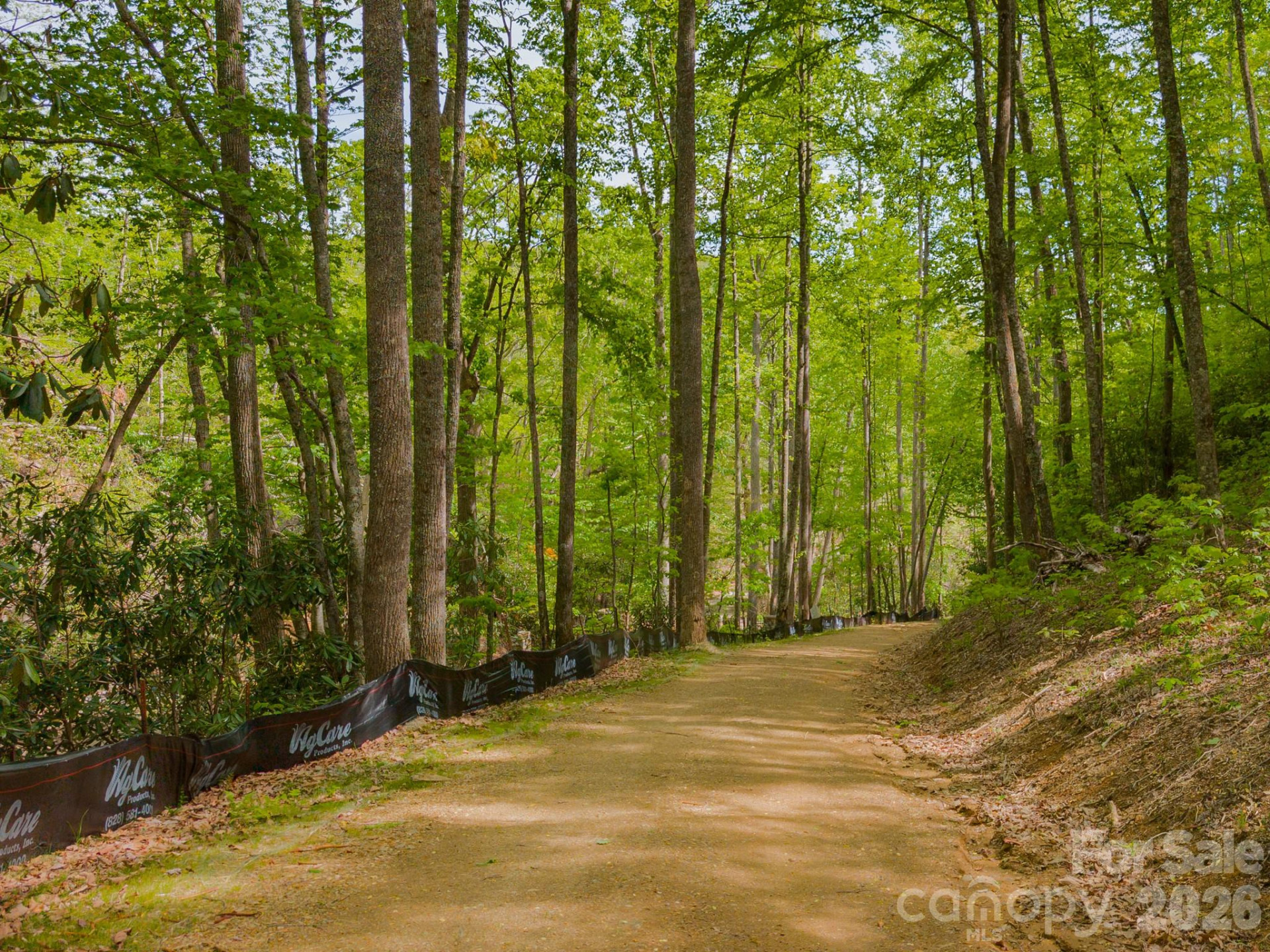 10.1 Acres on Old Fort Road - Photo 24