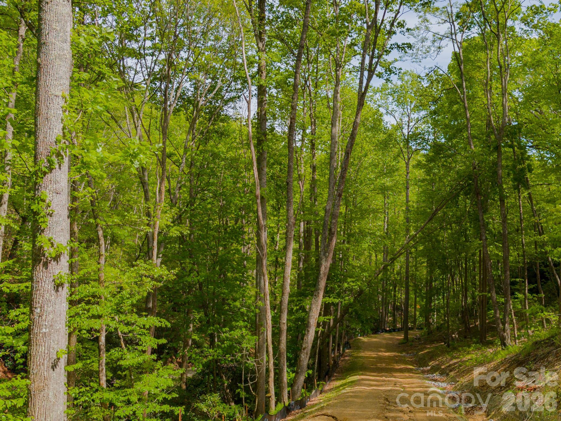 10.1 Acres on Old Fort Road - Photo 27