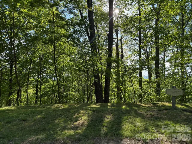 Lot 9 & 10 Andrew Banks Road, Burnsville, NC, 28714