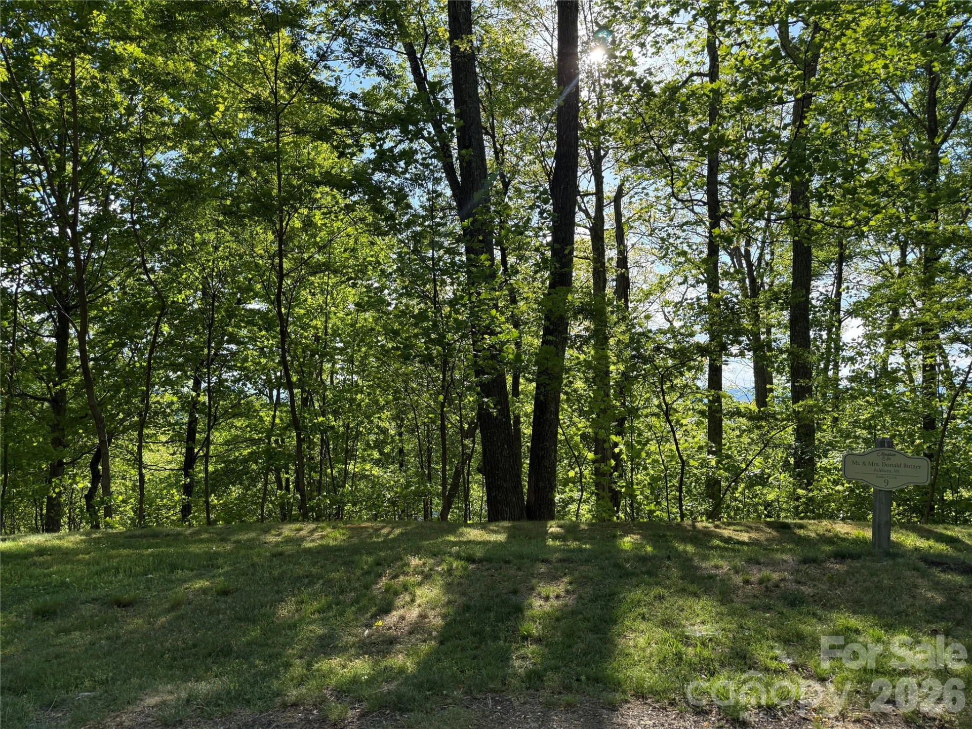 Lot 9 & 10 Andrew Banks Road - Photo 3