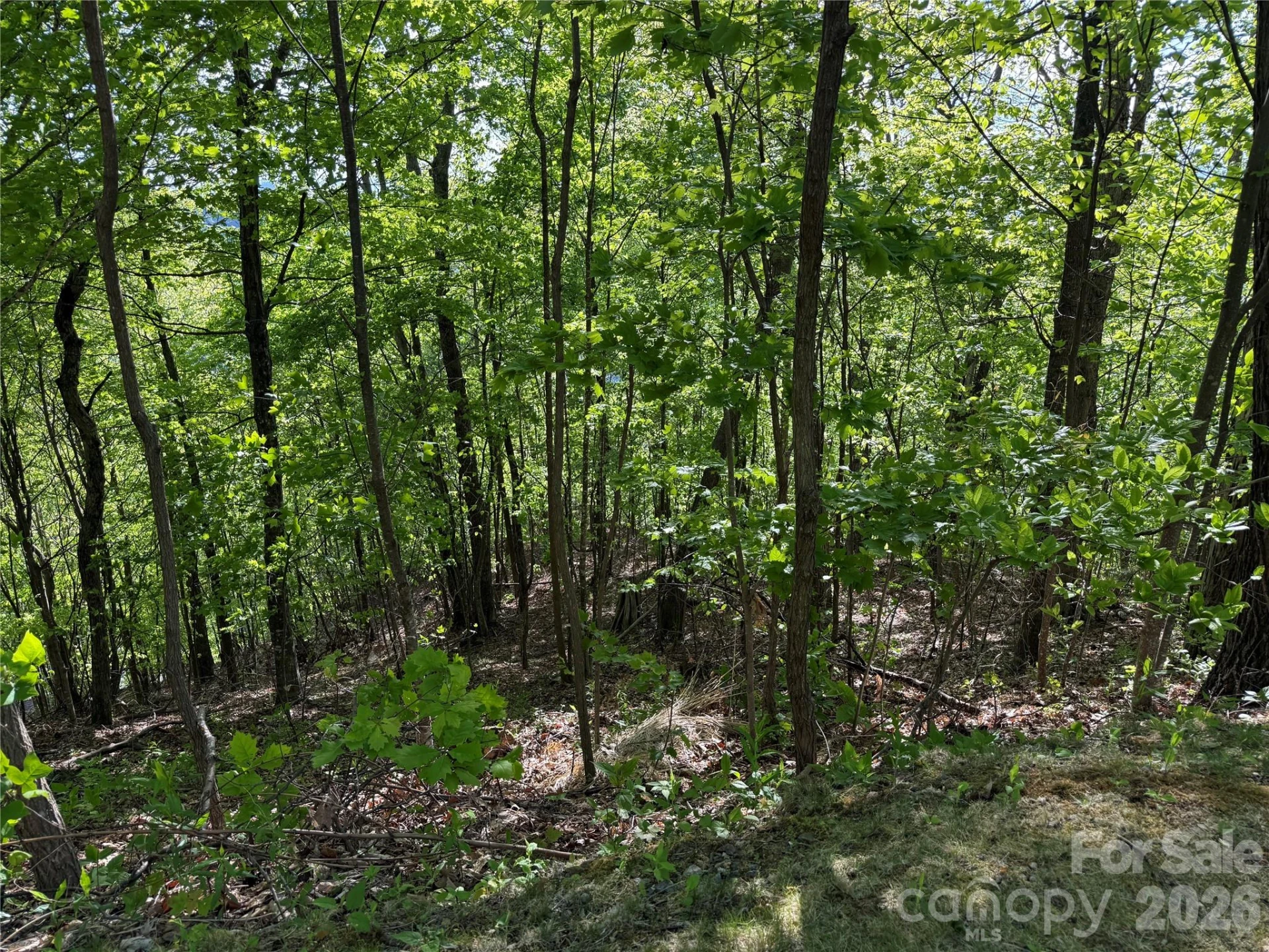 Lot 9 & 10 Andrew Banks Road - Photo 4