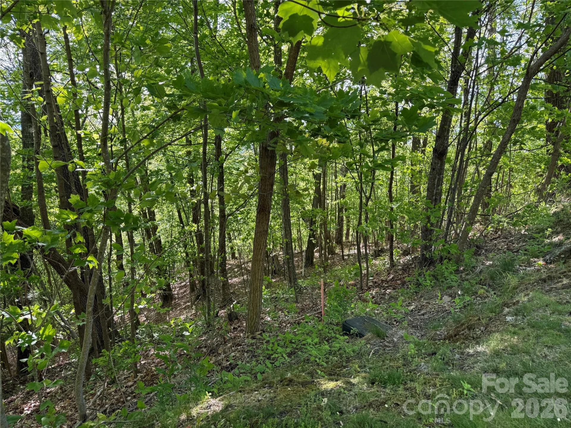 Lot 9 & 10 Andrew Banks Road - Photo 5