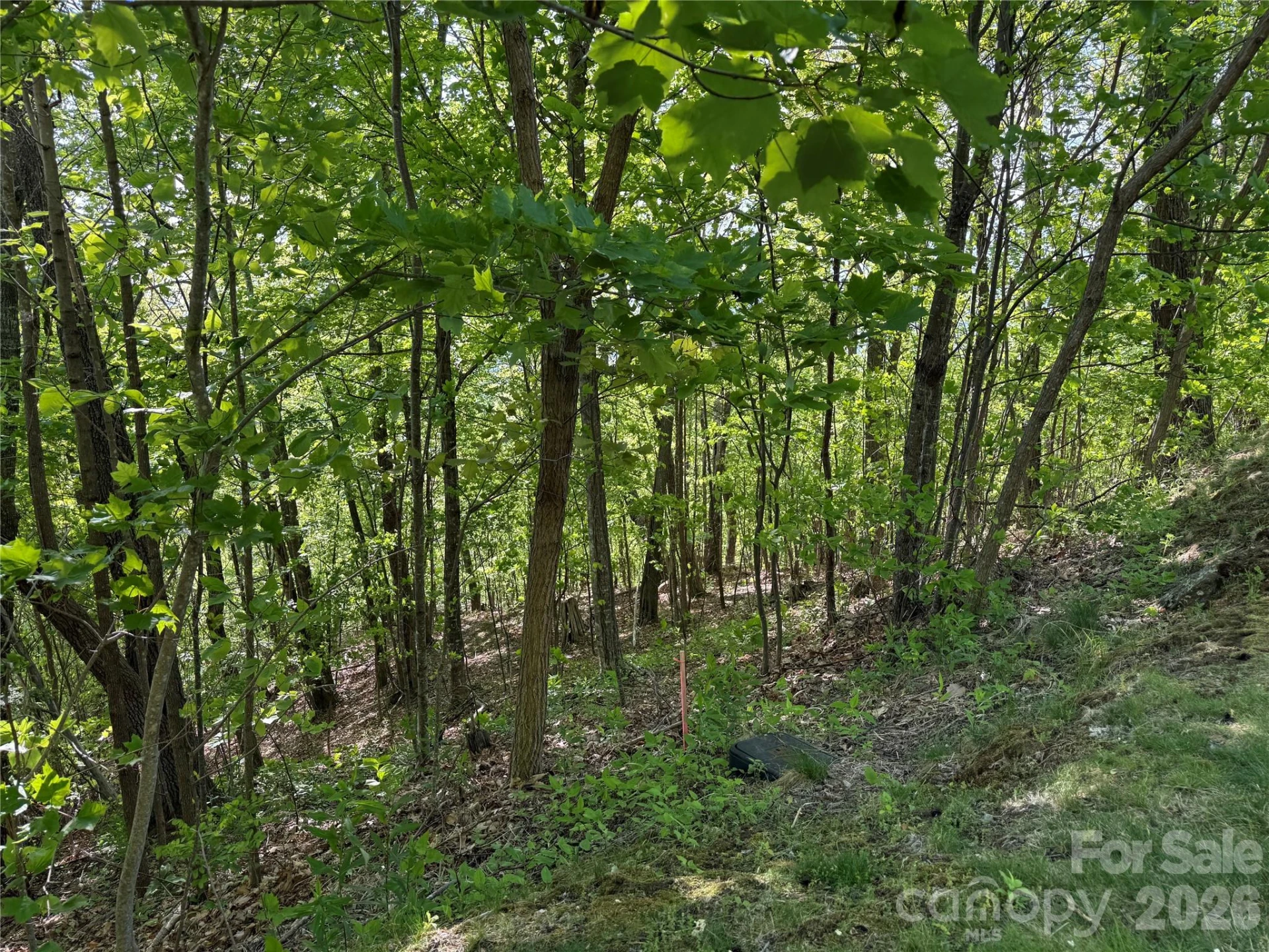 Lot 9 & 10 Andrew Banks Road - Photo 6