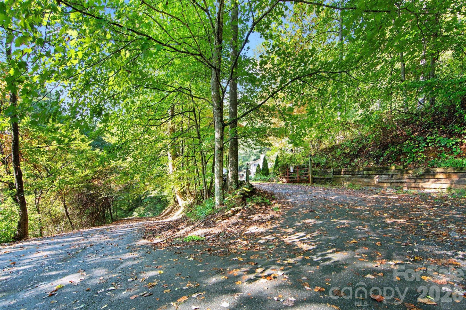 150 Sorghum Drive - Photo 34