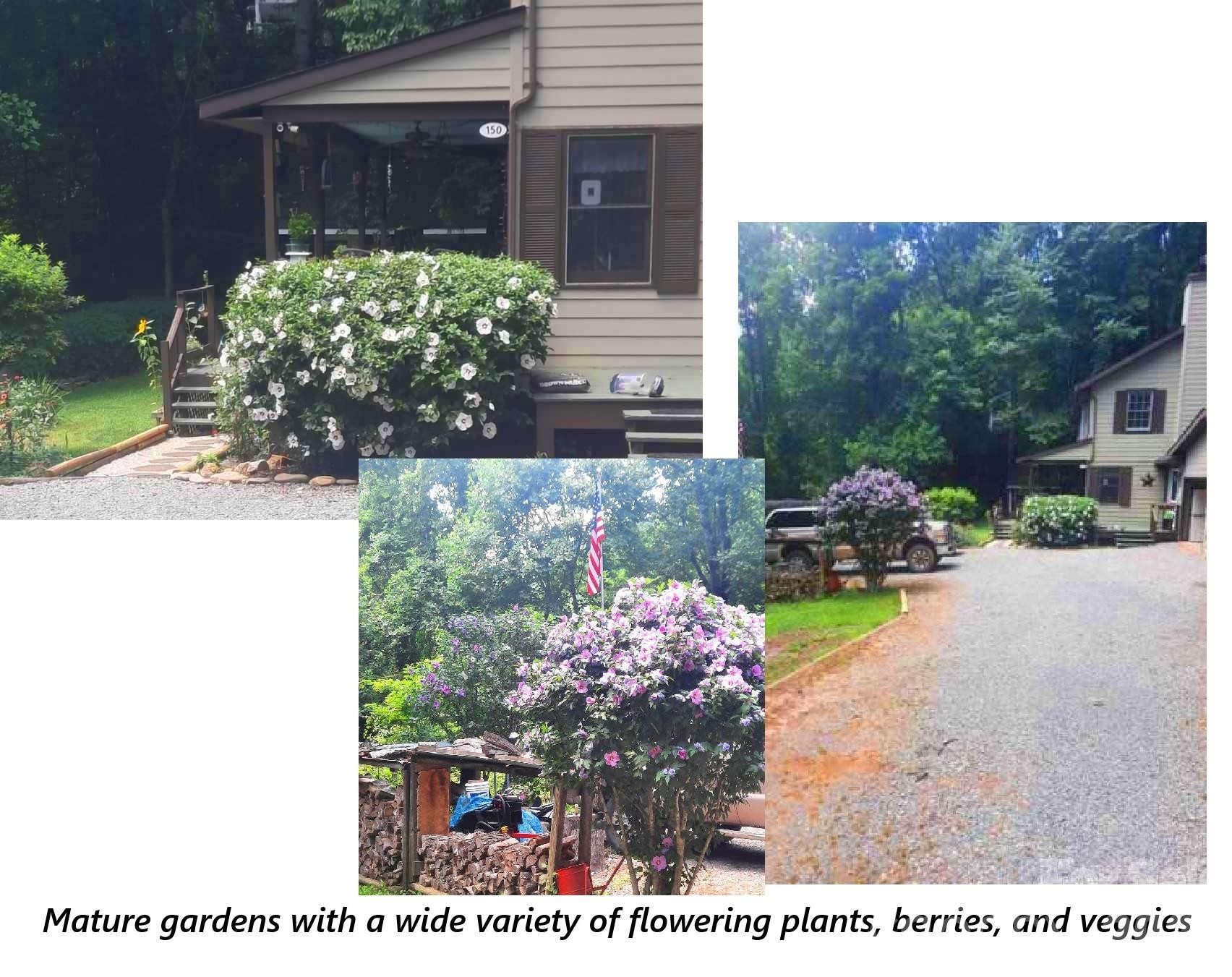 150 Sorghum Drive - Photo 36