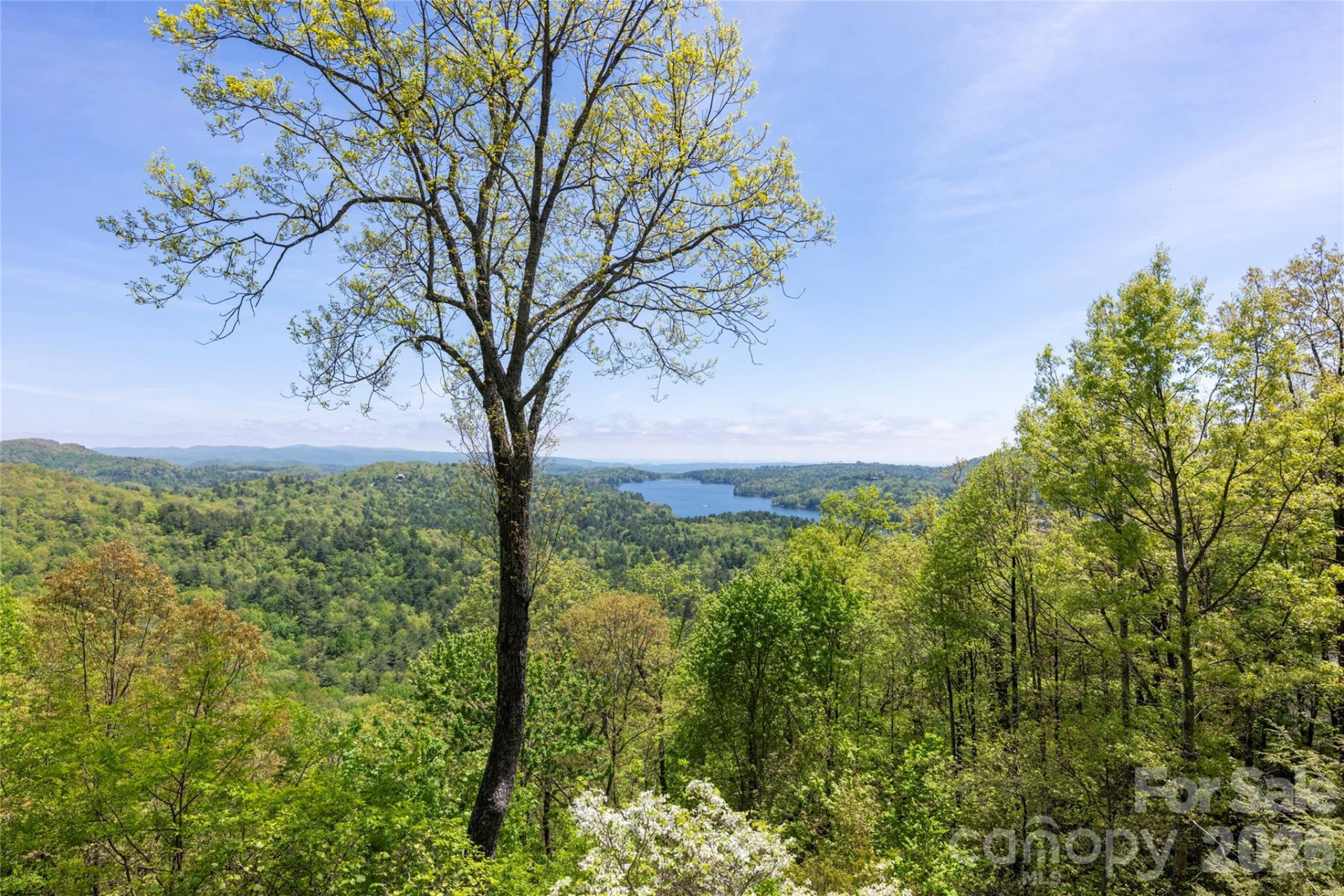 562 Panther Ridge Road - Photo 20