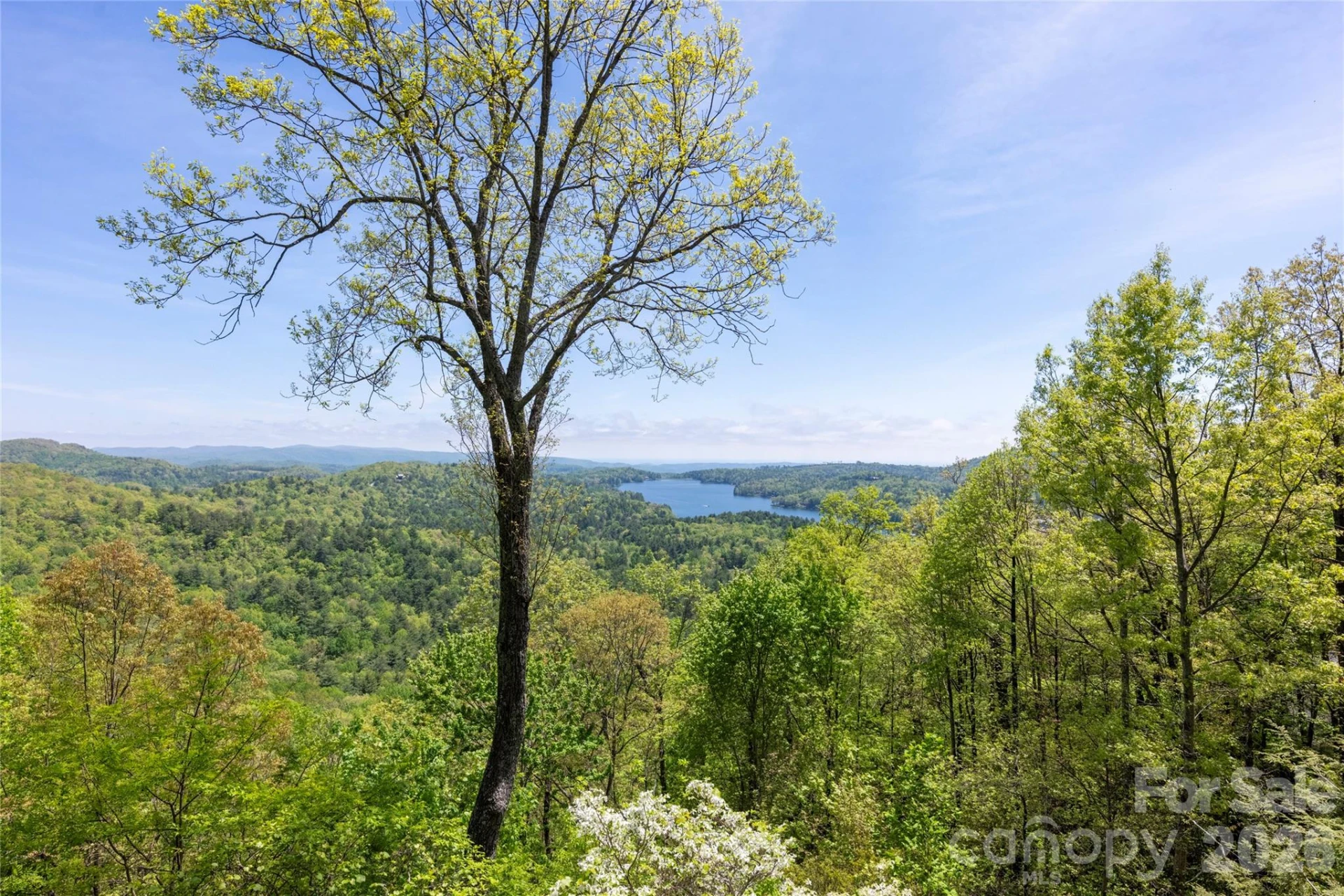 562 Panther Ridge Road - Photo 20