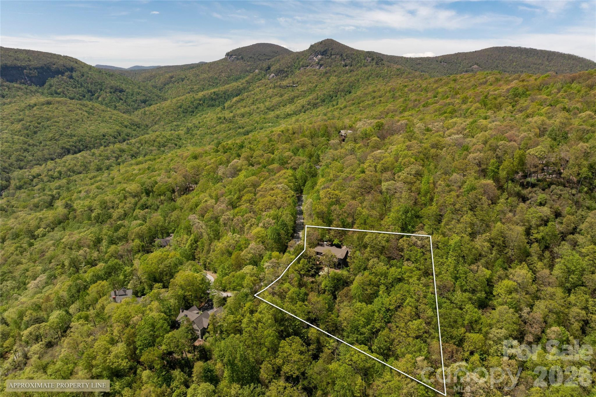 562 Panther Ridge Road - Photo 39